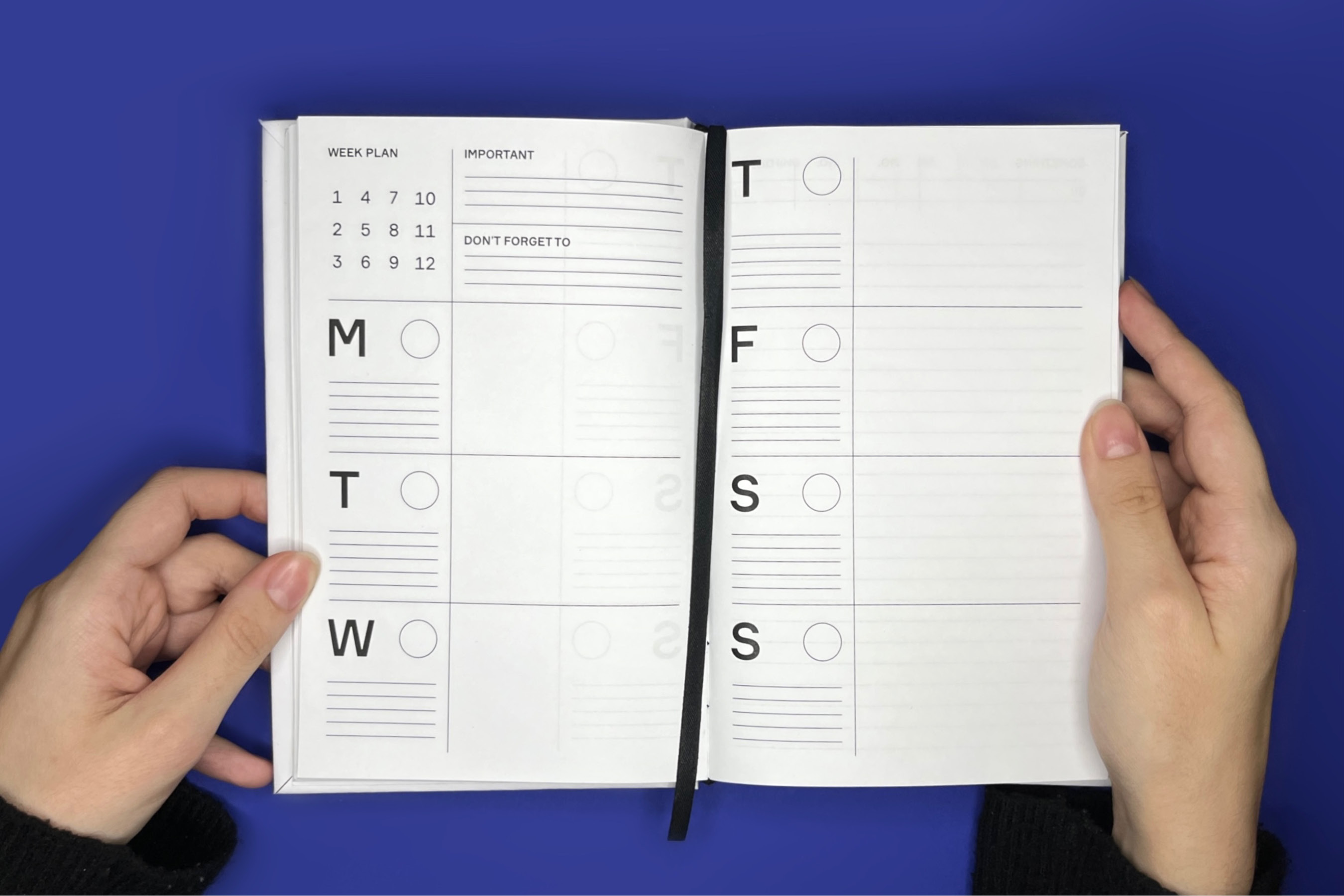 JOTTER: безвременной ежедневник — Изображение №14 — Брендинг, Графика на Dprofile