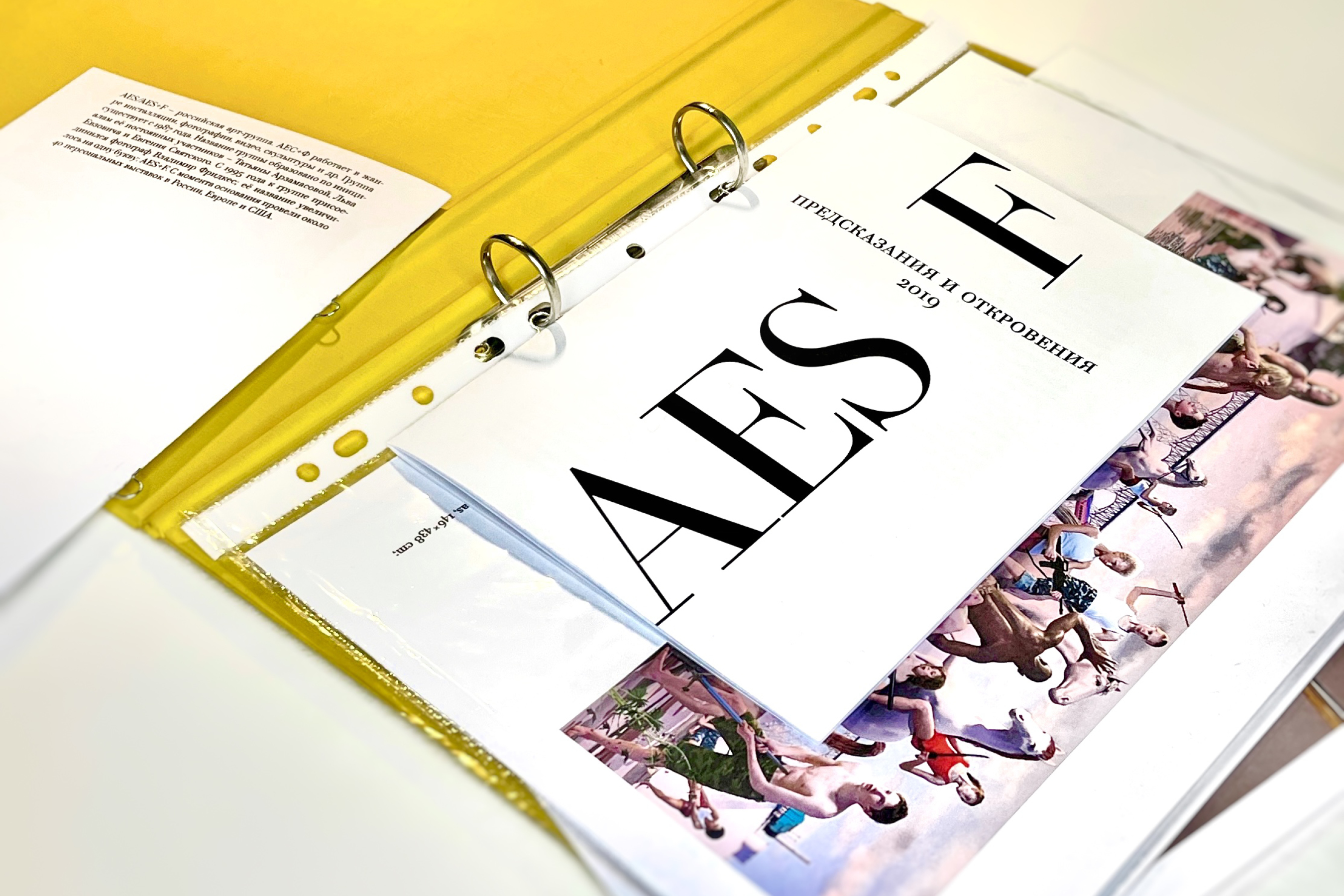 AES+F. Серийное оформление буклетов. — Изображение №16 — Графика на Dprofile