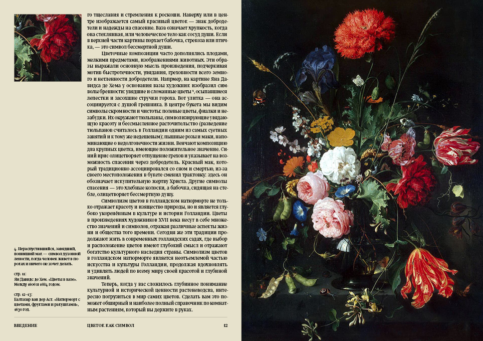 Ян Ван дер Неер. Всё о комнатных растениях. Справочник — Изображение №13 — Графика на Dprofile