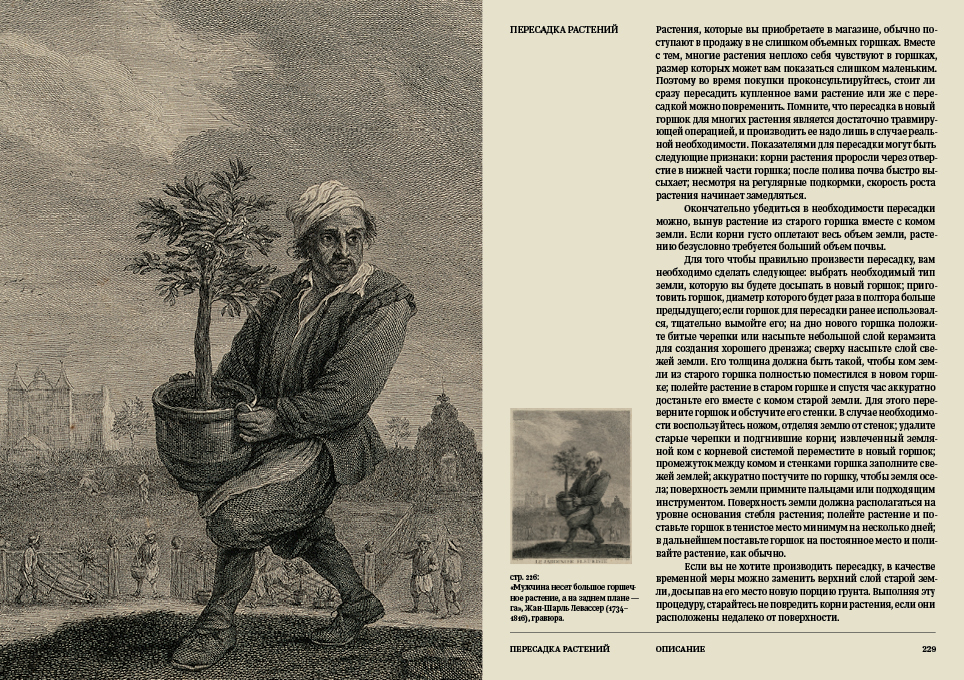 Ян Ван дер Неер. Всё о комнатных растениях. Справочник — Изображение №29 — Графика на Dprofile