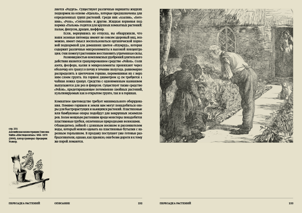 Ян Ван дер Неер. Всё о комнатных растениях. Справочник — Изображение №31 — Графика на Dprofile