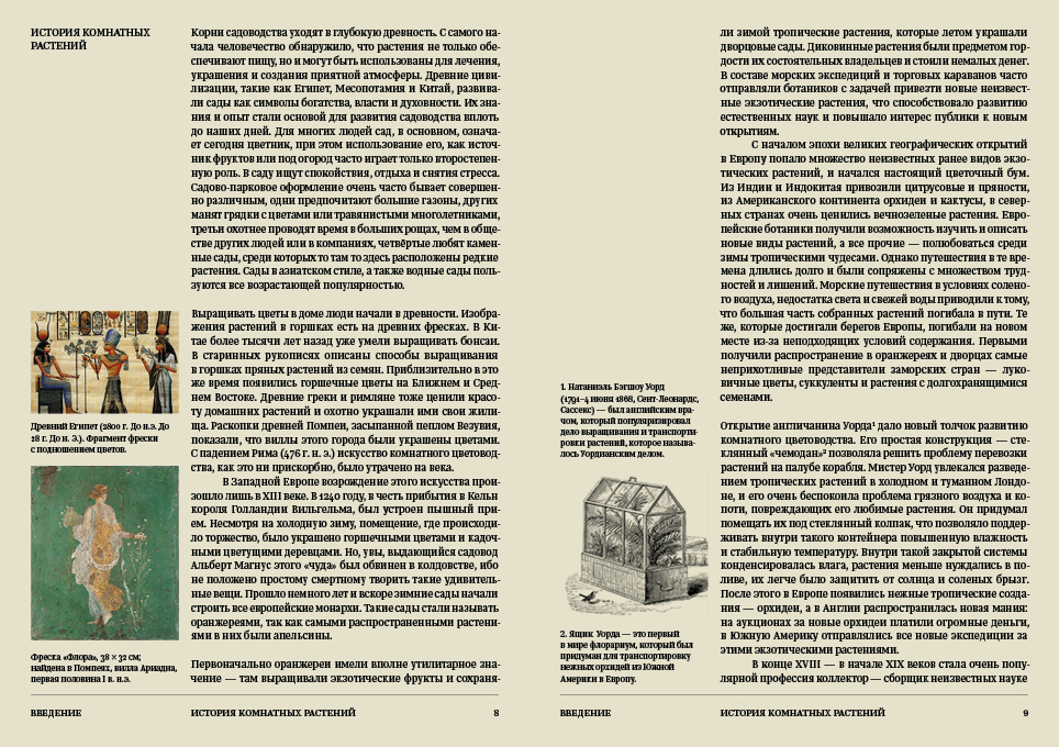 Ян Ван дер Неер. Всё о комнатных растениях. Справочник — Изображение №11 — Графика на Dprofile