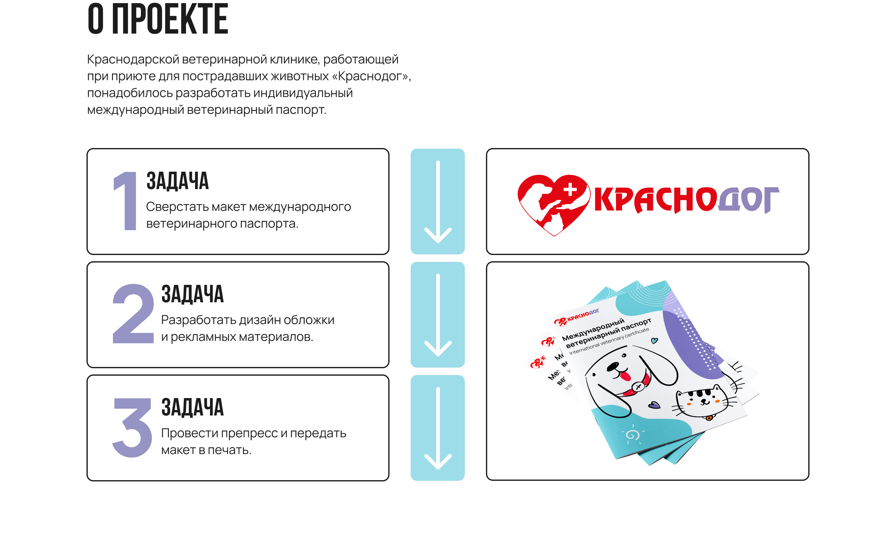 Ветеринарный паспорт — Изображение №2 — Иллюстрация, Графика на Dprofile