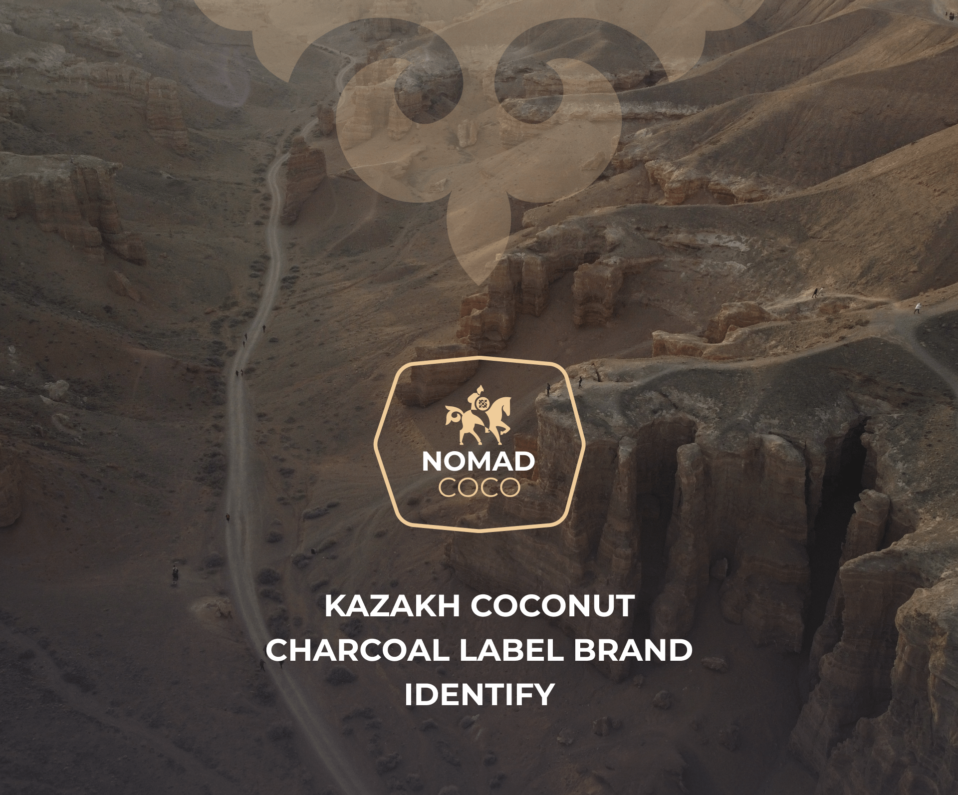Cococnut Coal Retail Brand identify Kazakhstan — Изображение №1 — Интерфейсы, Брендинг на Dprofile