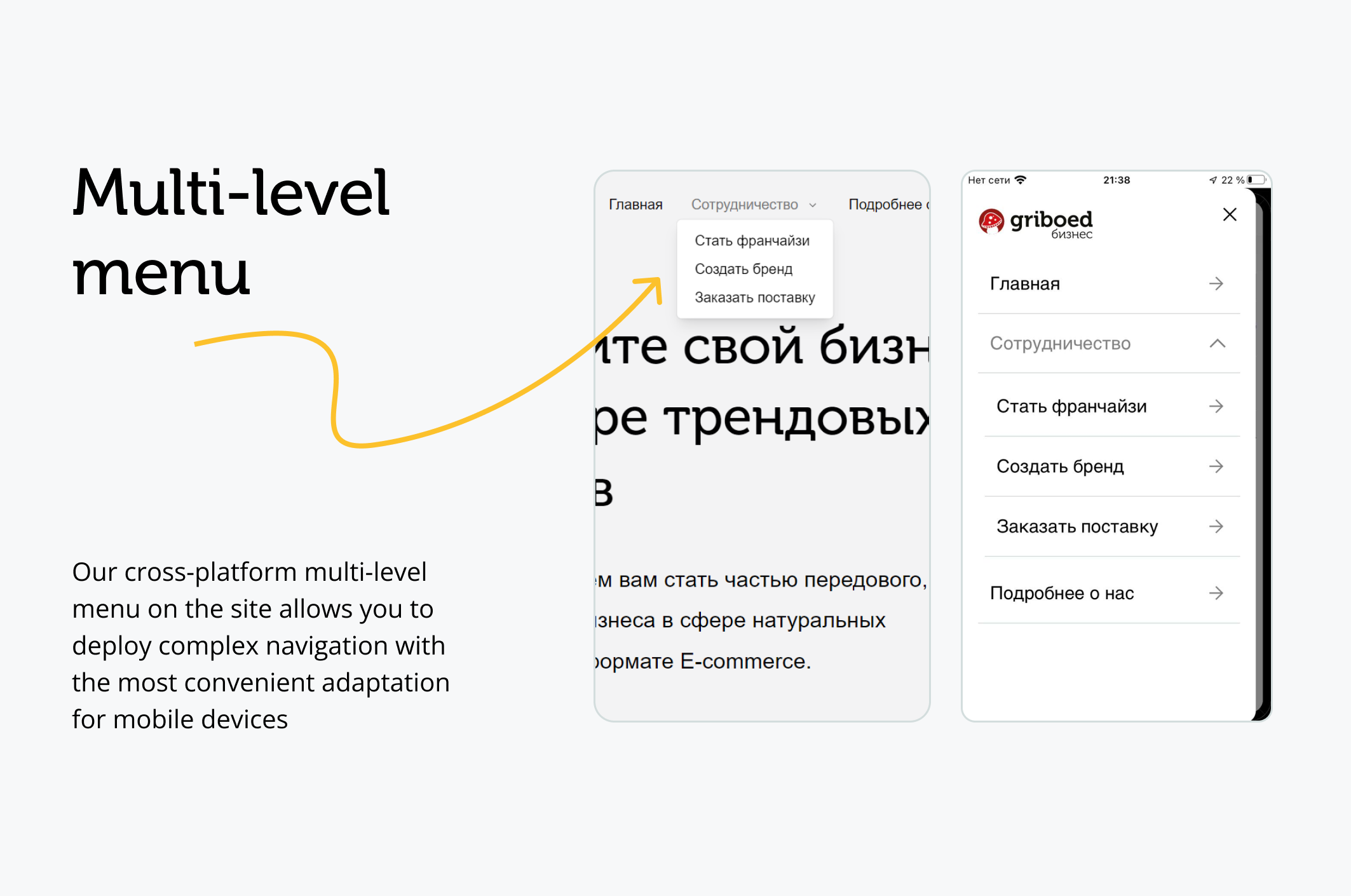 Сайт для Франшизы Магазина Грибоеда | b2b Веб-дизайн — Изображение №4 — Интерфейсы на Dprofile