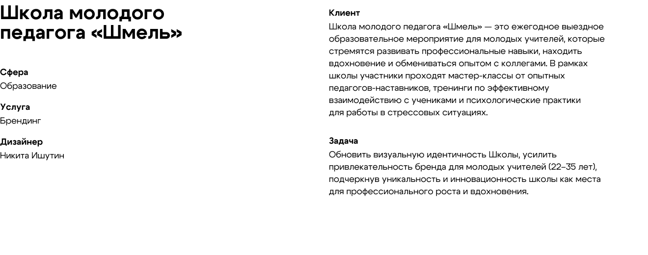 Школа молодого педагога «Шмель» — Изображение №2 — Брендинг на Dprofile