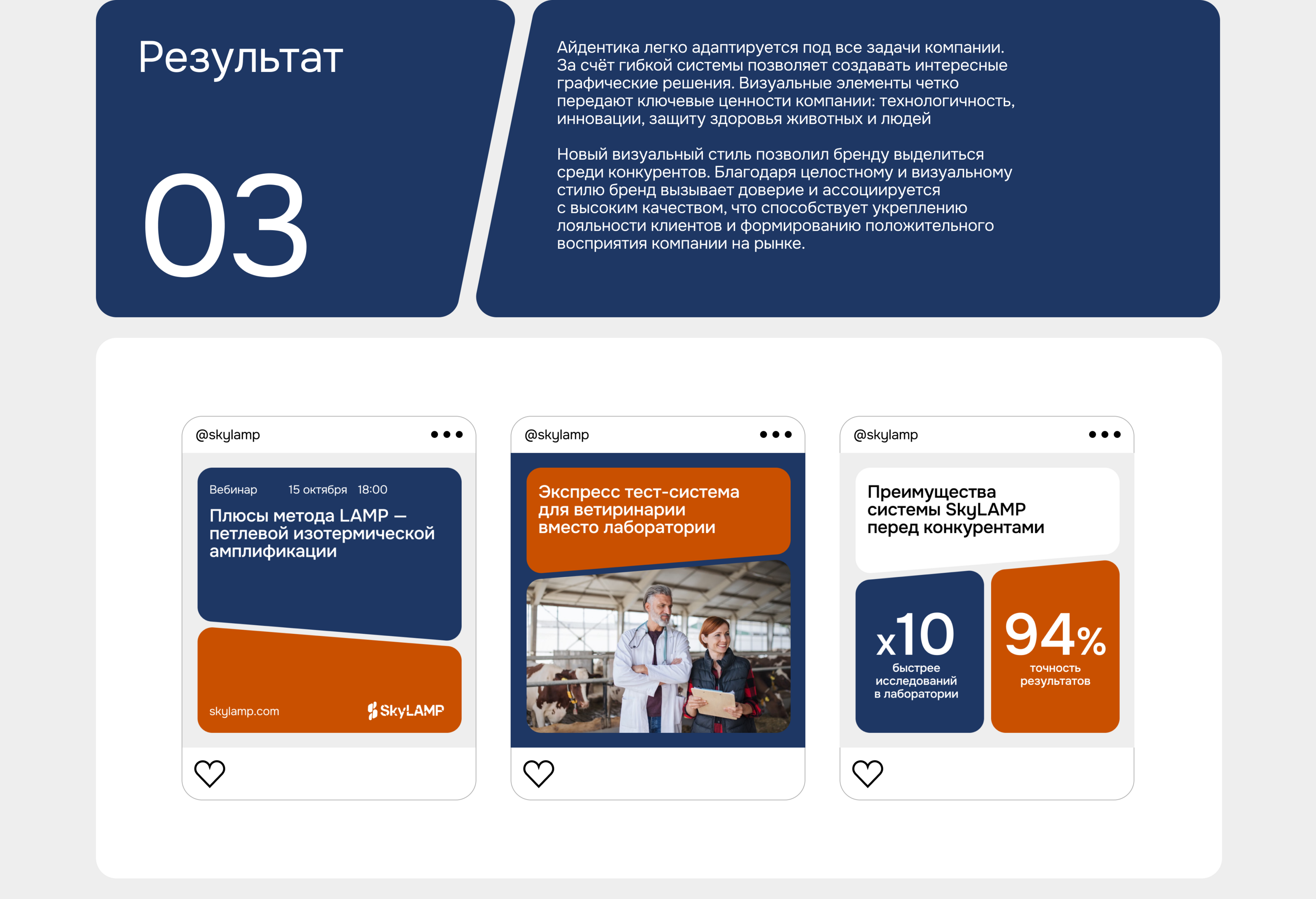 SkyLAMP – тест-система для ветеринарии — Изображение №8 — Брендинг на Dprofile