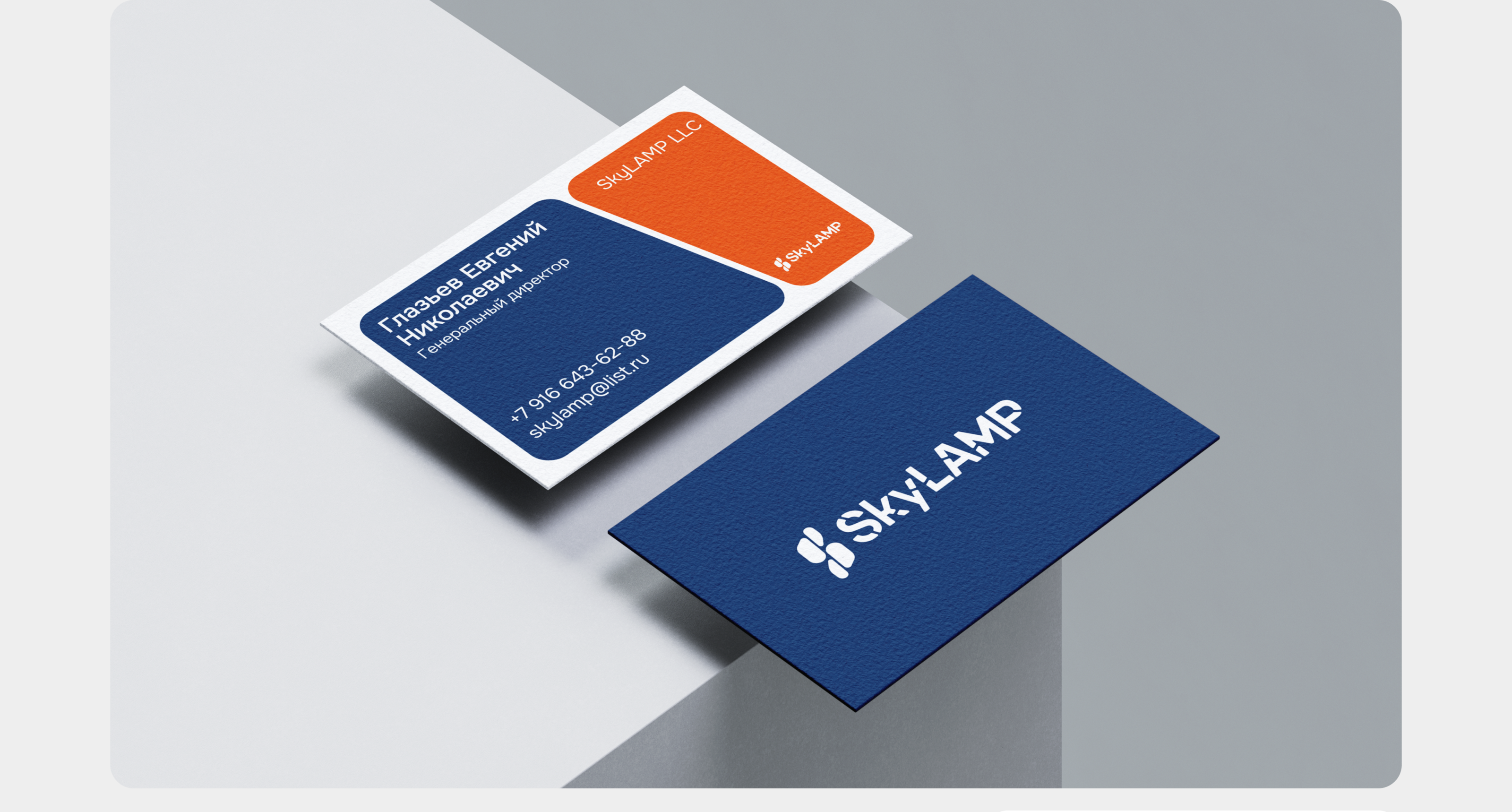 SkyLAMP – тест-система для ветеринарии — Изображение №5 — Брендинг на Dprofile