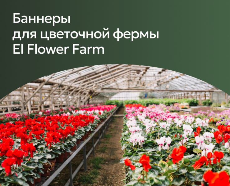 Рекламные баннеры для цветочной фермы El Flower Farm — Графика, Маркетинг на Dprofile