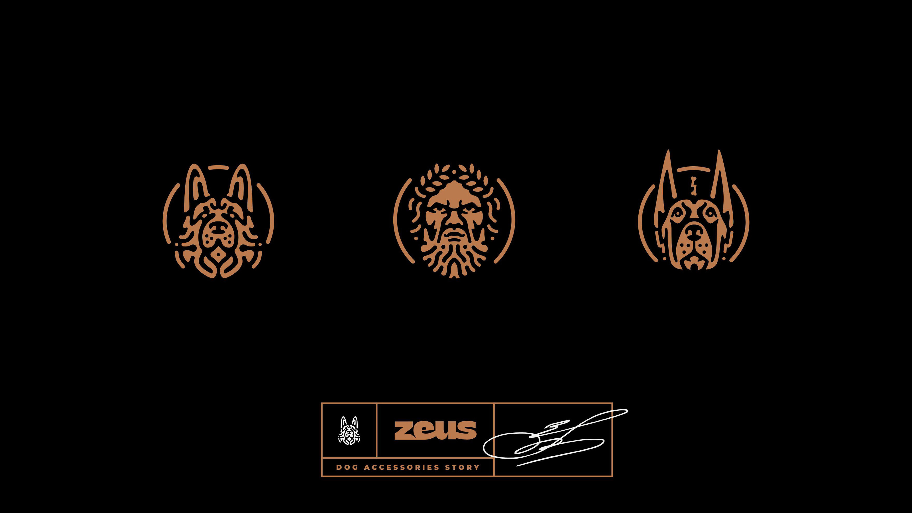Zeus — Изображение №30 — Брендинг, Графика на Dprofile