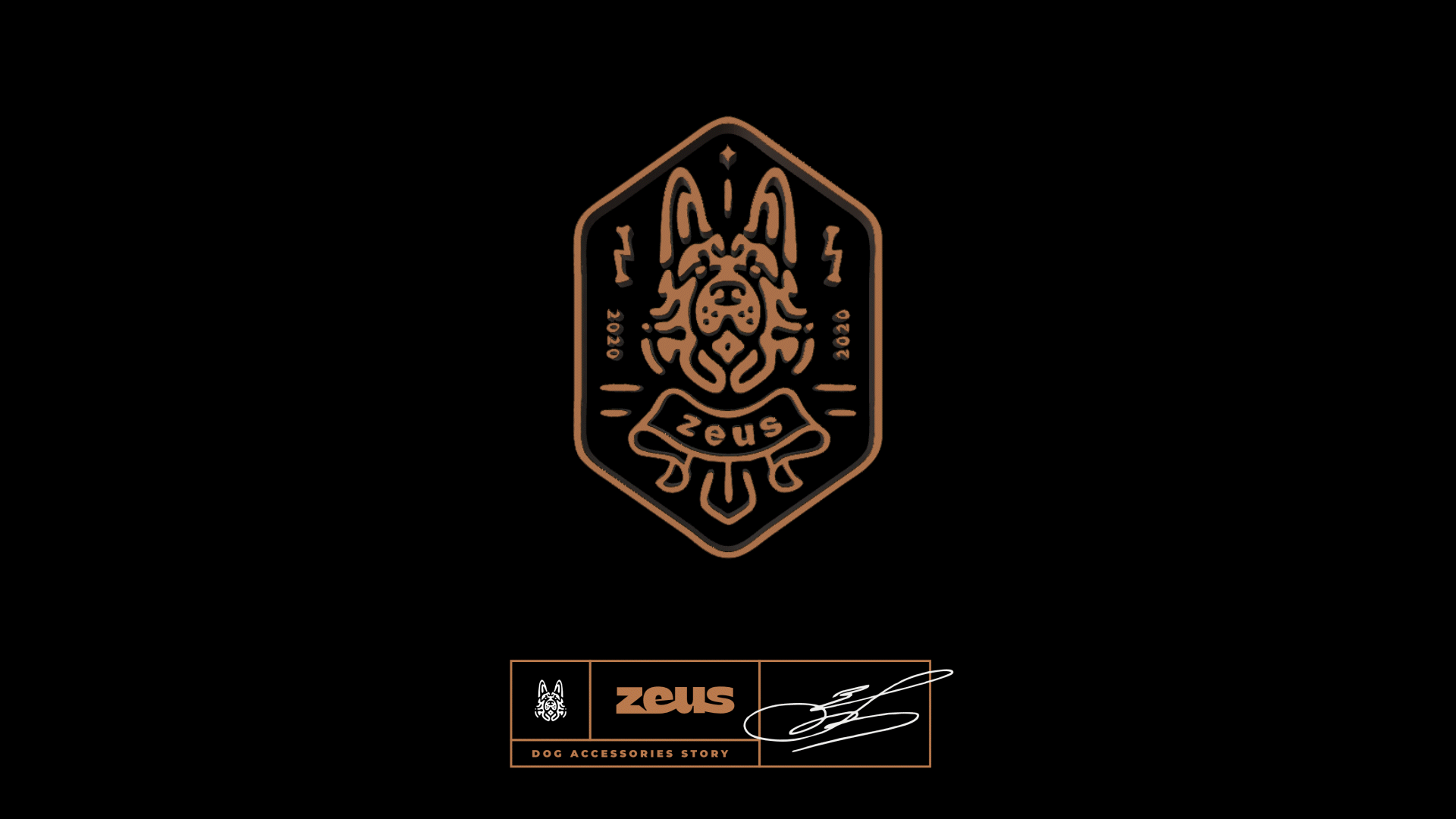 Zeus — Изображение №17 — Брендинг, Графика на Dprofile
