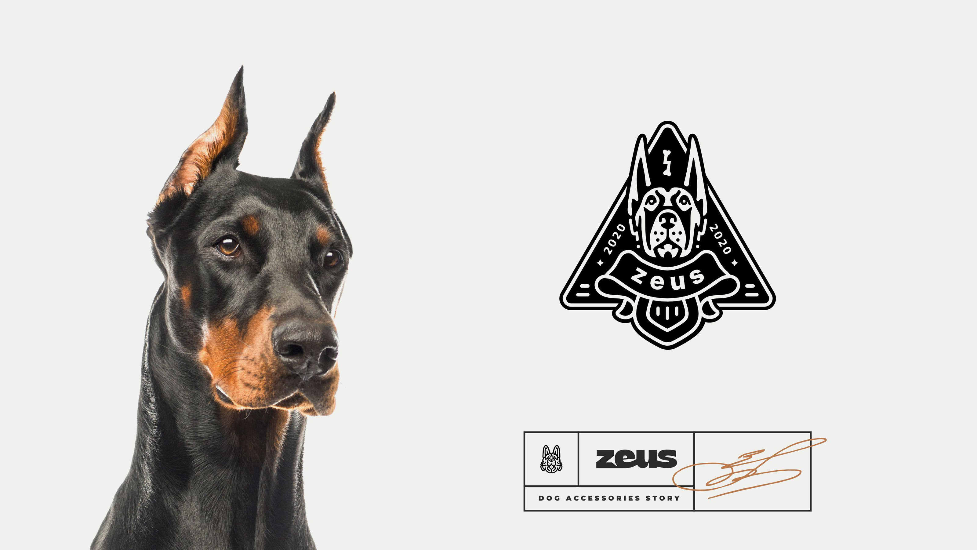 Zeus — Изображение №20 — Брендинг, Графика на Dprofile