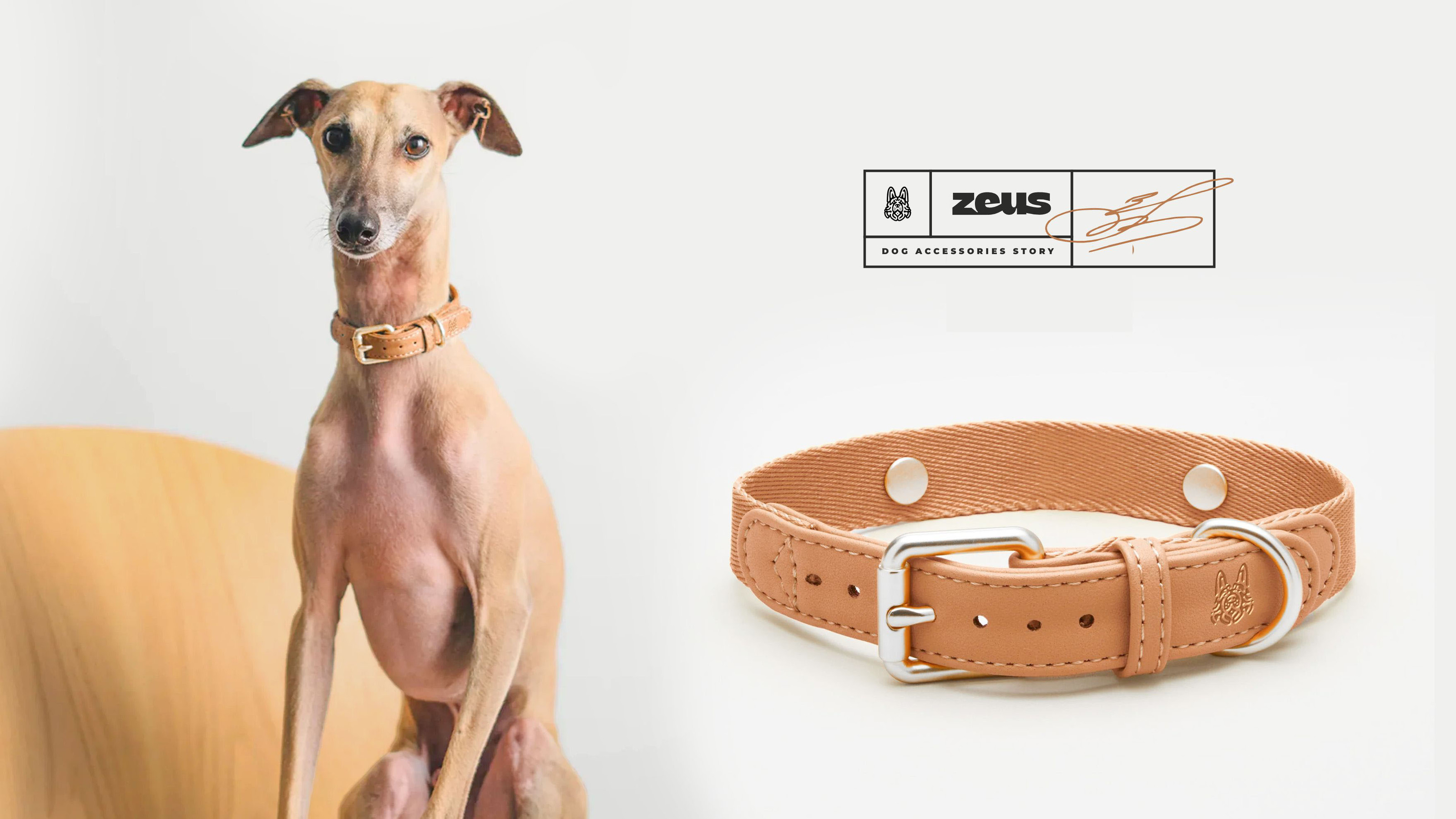 Zeus — Изображение №22 — Брендинг, Графика на Dprofile