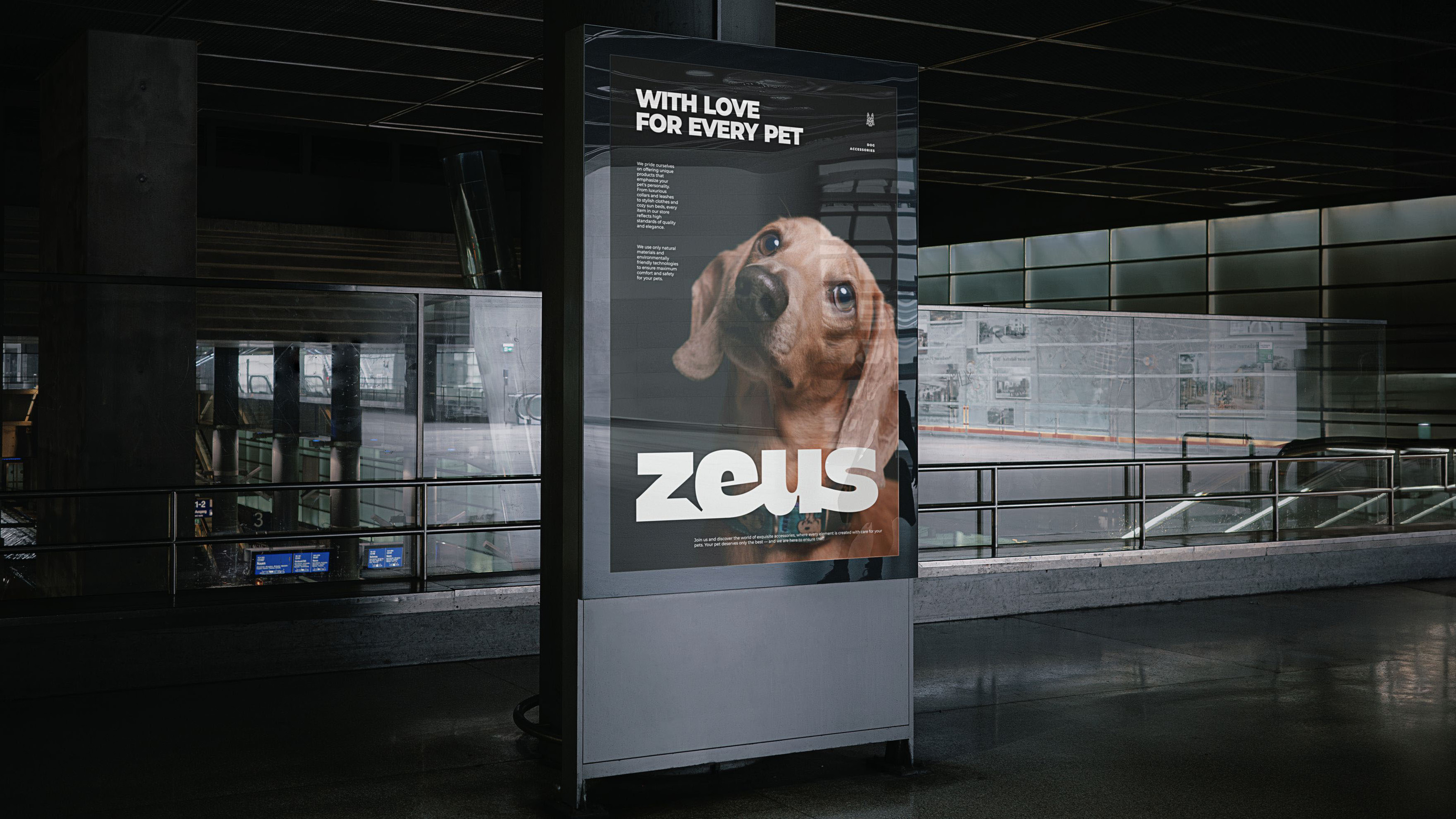 Zeus — Изображение №15 — Брендинг, Графика на Dprofile