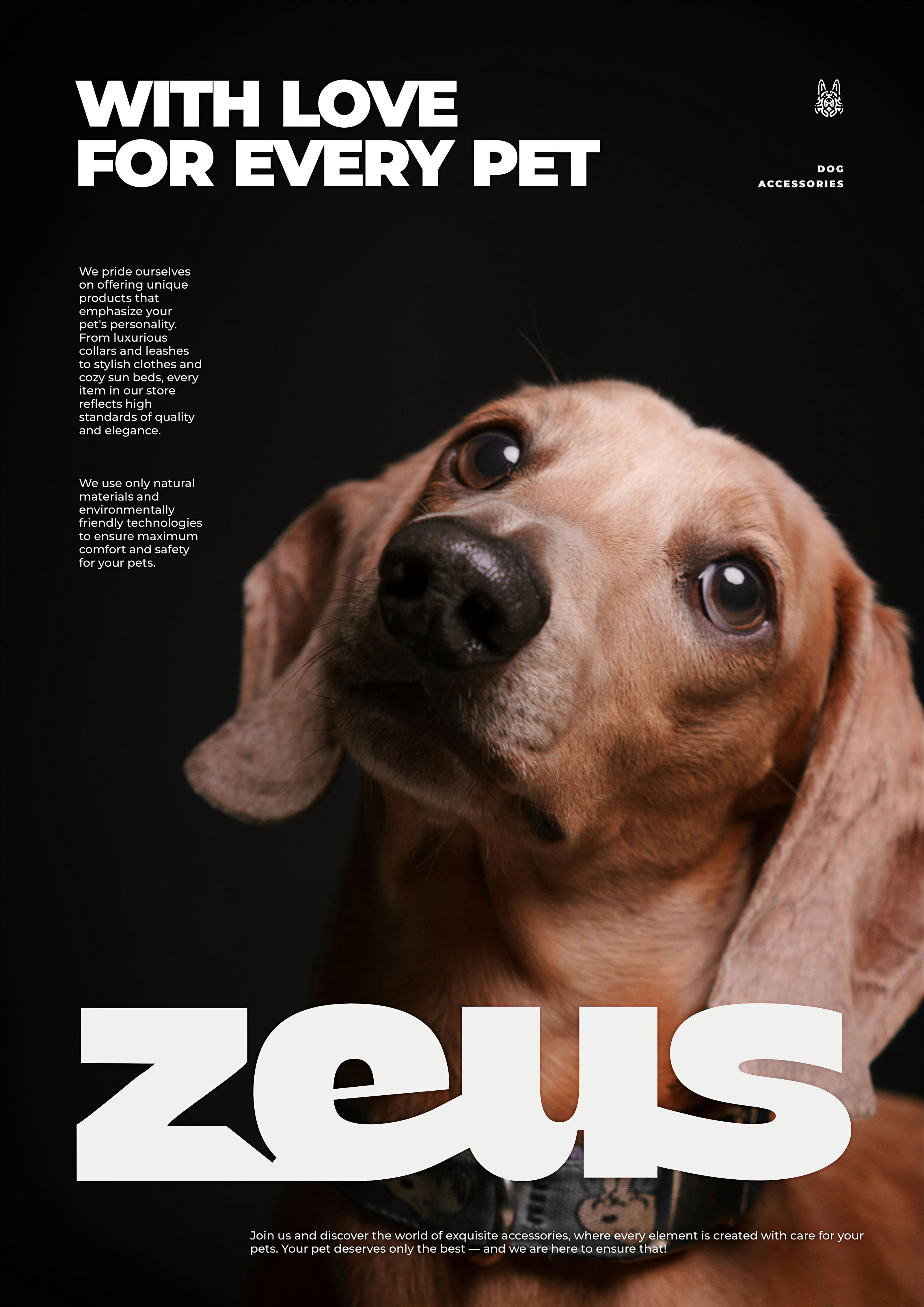 Zeus — Изображение №21 — Брендинг, Графика на Dprofile