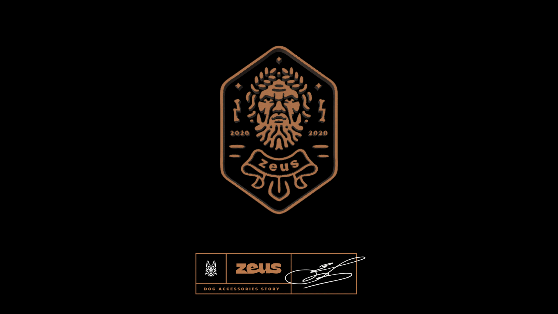 Zeus — Изображение №25 — Брендинг, Графика на Dprofile