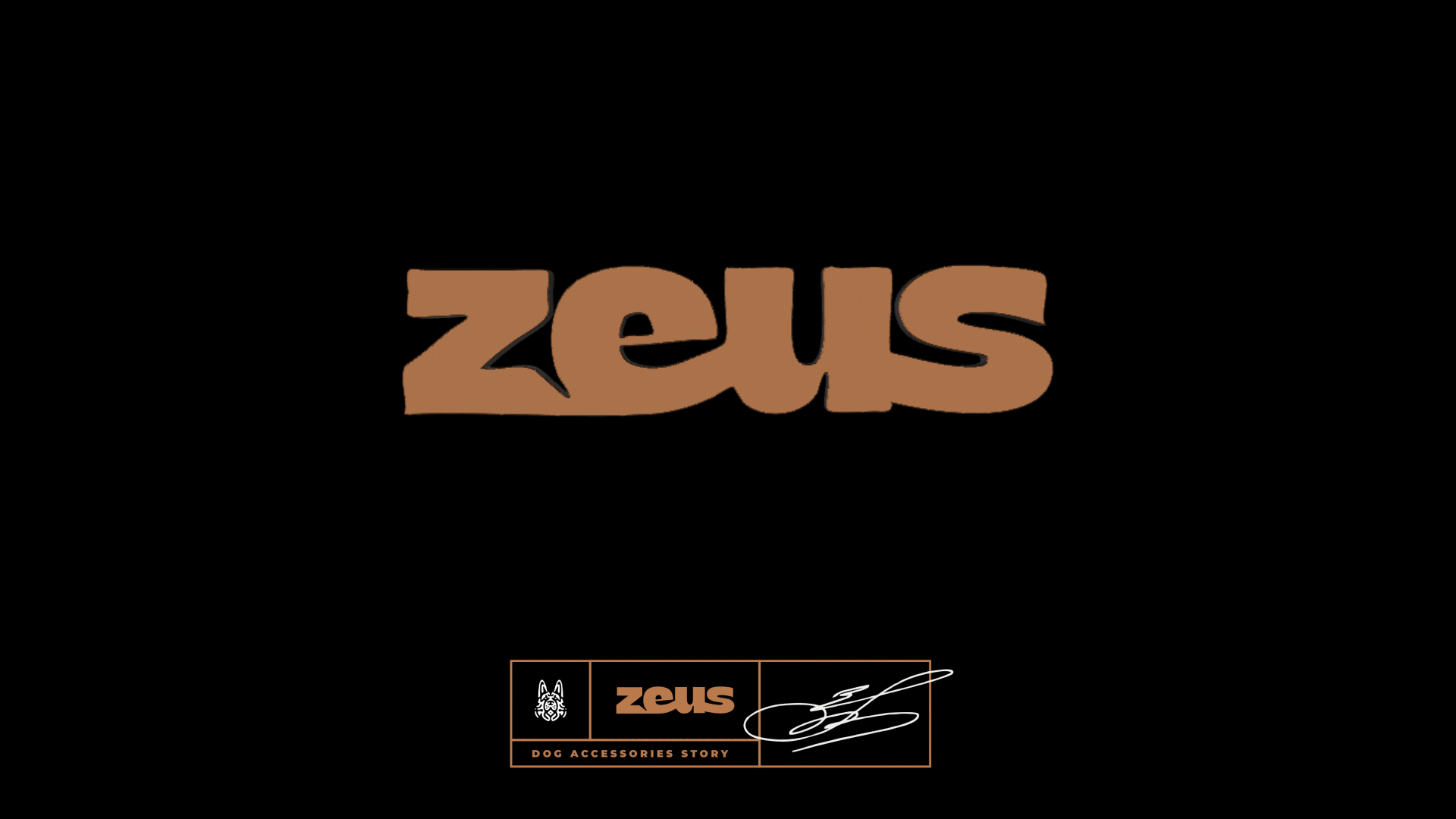 Zeus — Изображение №5 — Брендинг, Графика на Dprofile