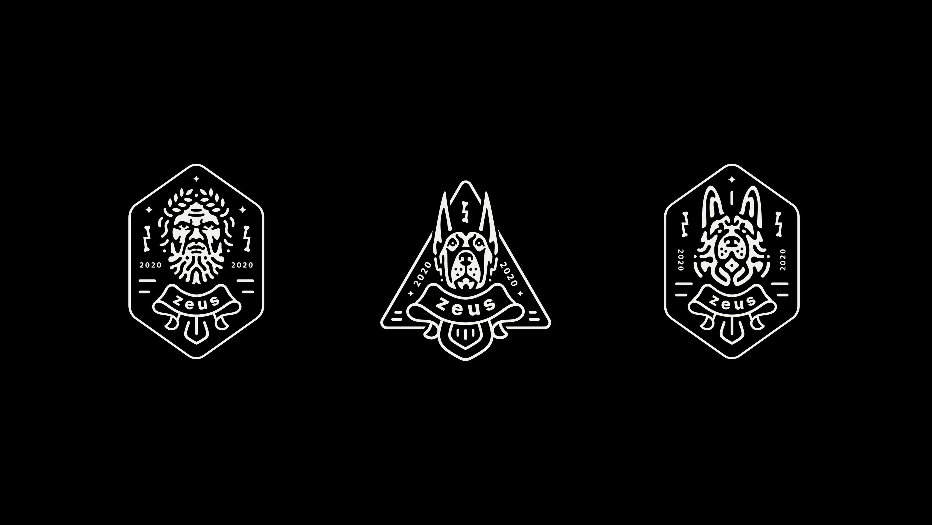 Zeus — Изображение №8 — Брендинг, Графика на Dprofile