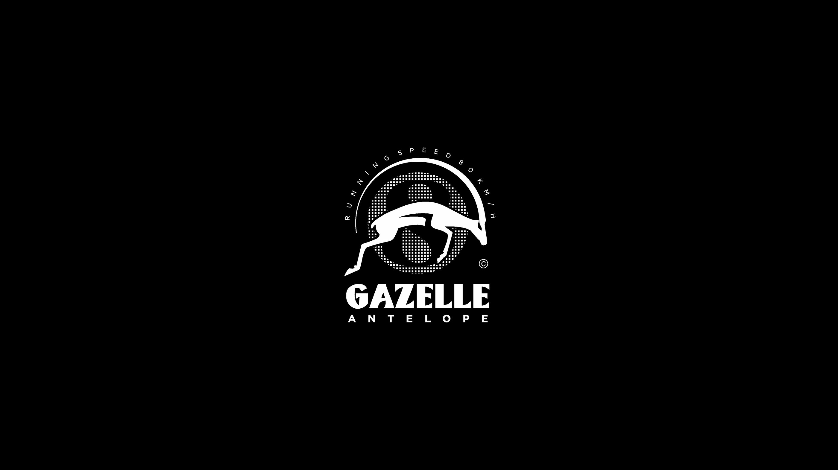 Logoset 2 — Изображение №7 — Брендинг, Графика на Dprofile