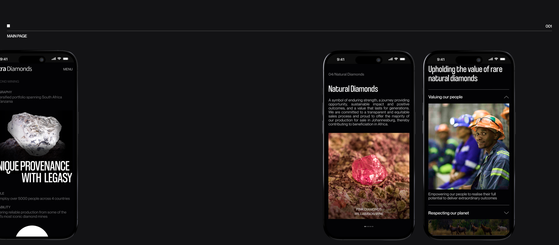 Petra Diamonds/Corporate website — Изображение №3 — Интерфейсы на Dprofile