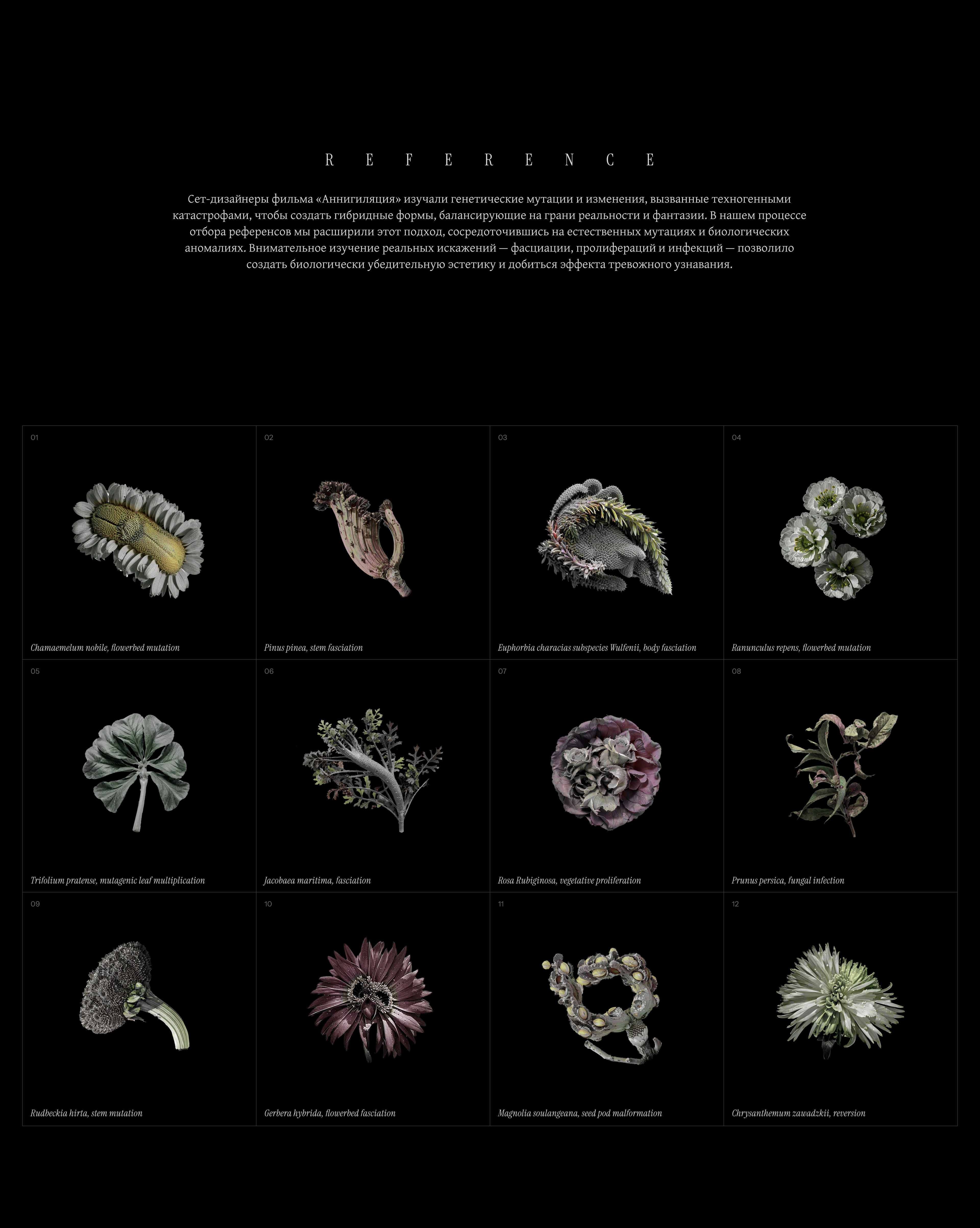 Annihilation. Постер — Изображение №3 — Иллюстрация, Графика на Dprofile