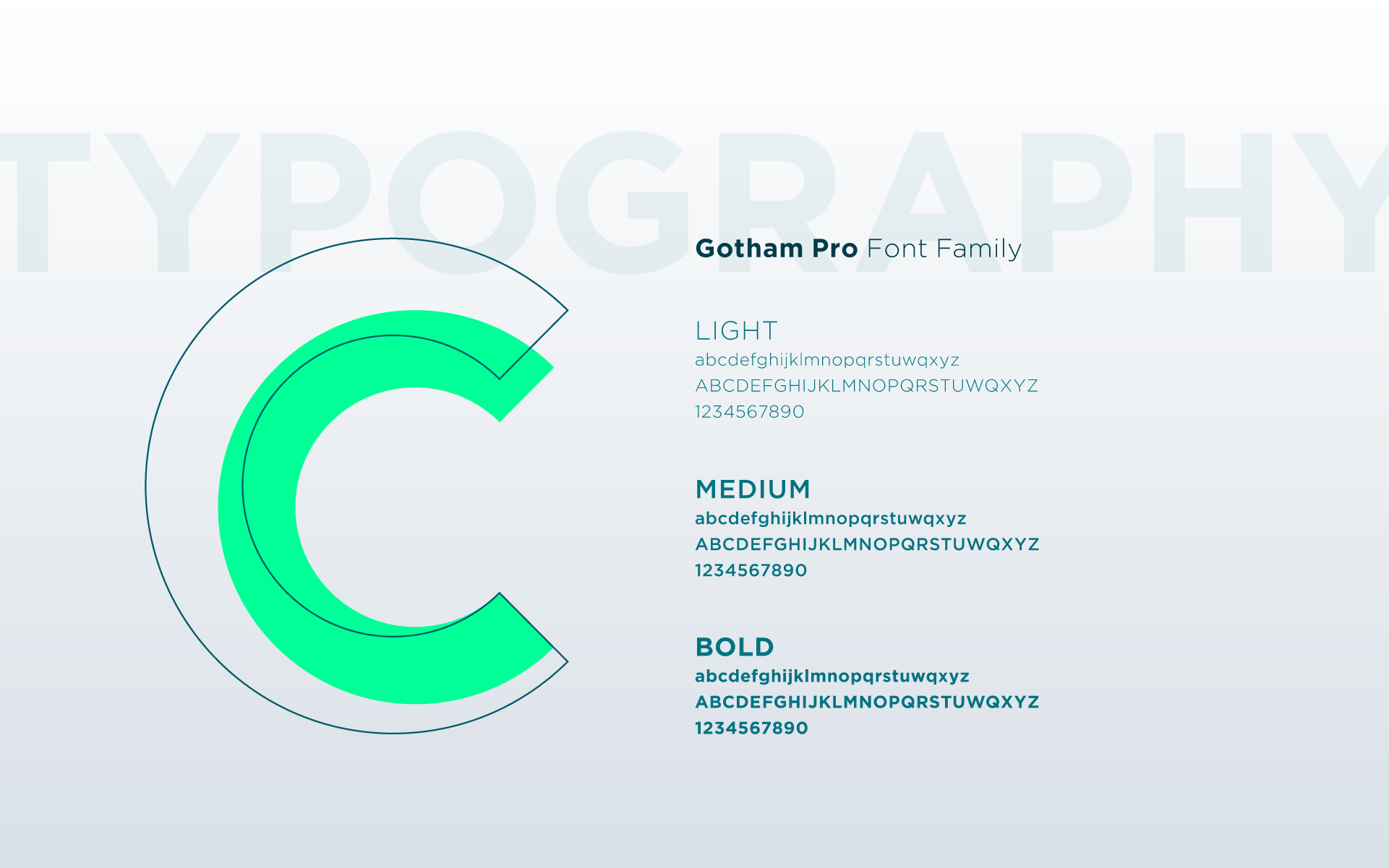 Coin's Dive / Logo & Brand Identity — Изображение №4 — Брендинг, Графика на Dprofile