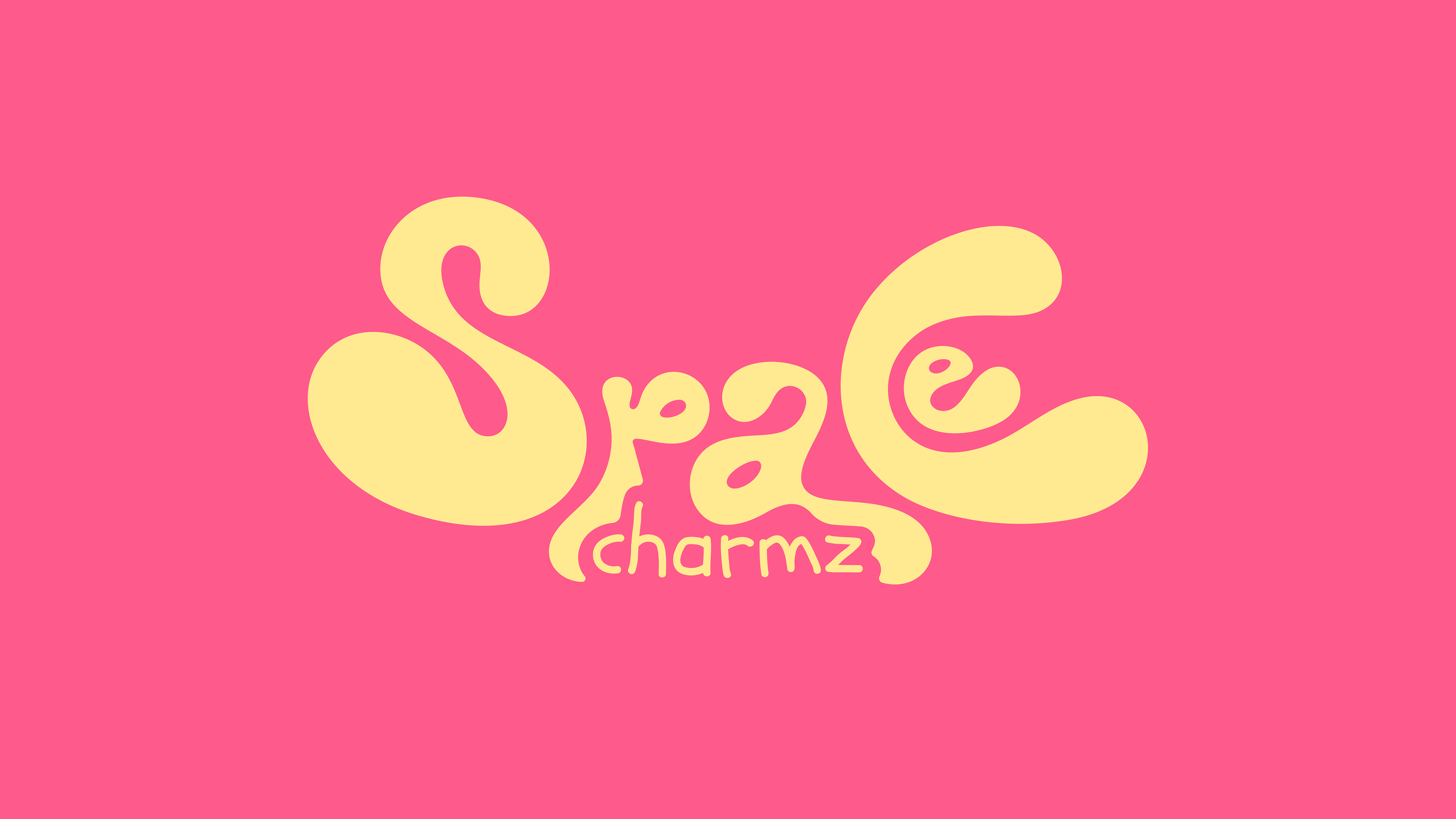 Space Charmz | Фирменный стиль — Изображение №3 — Брендинг на Dprofile
