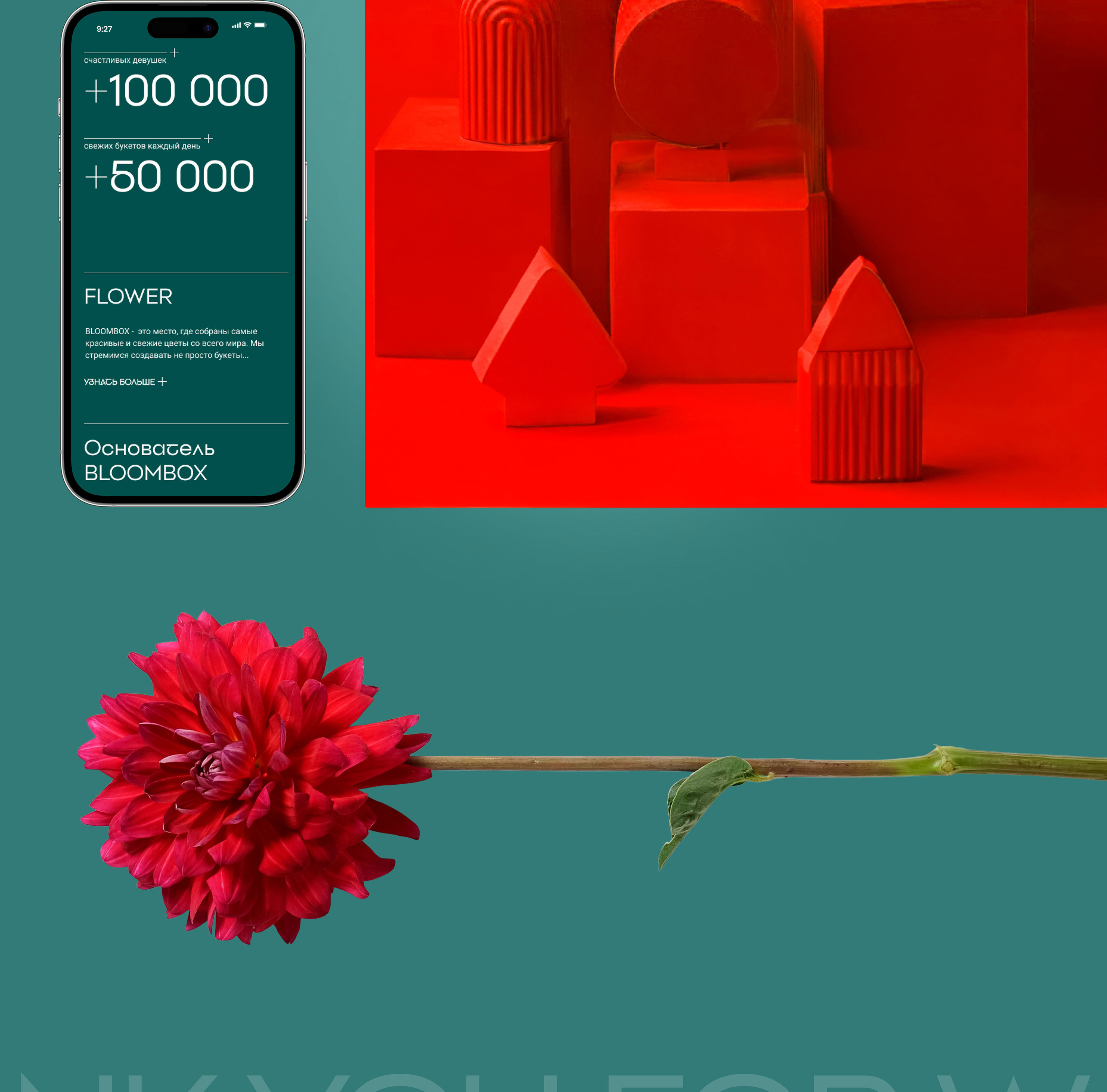 BLOOMBOX floral webshop — Изображение №9 — Интерфейсы, Брендинг на Dprofile