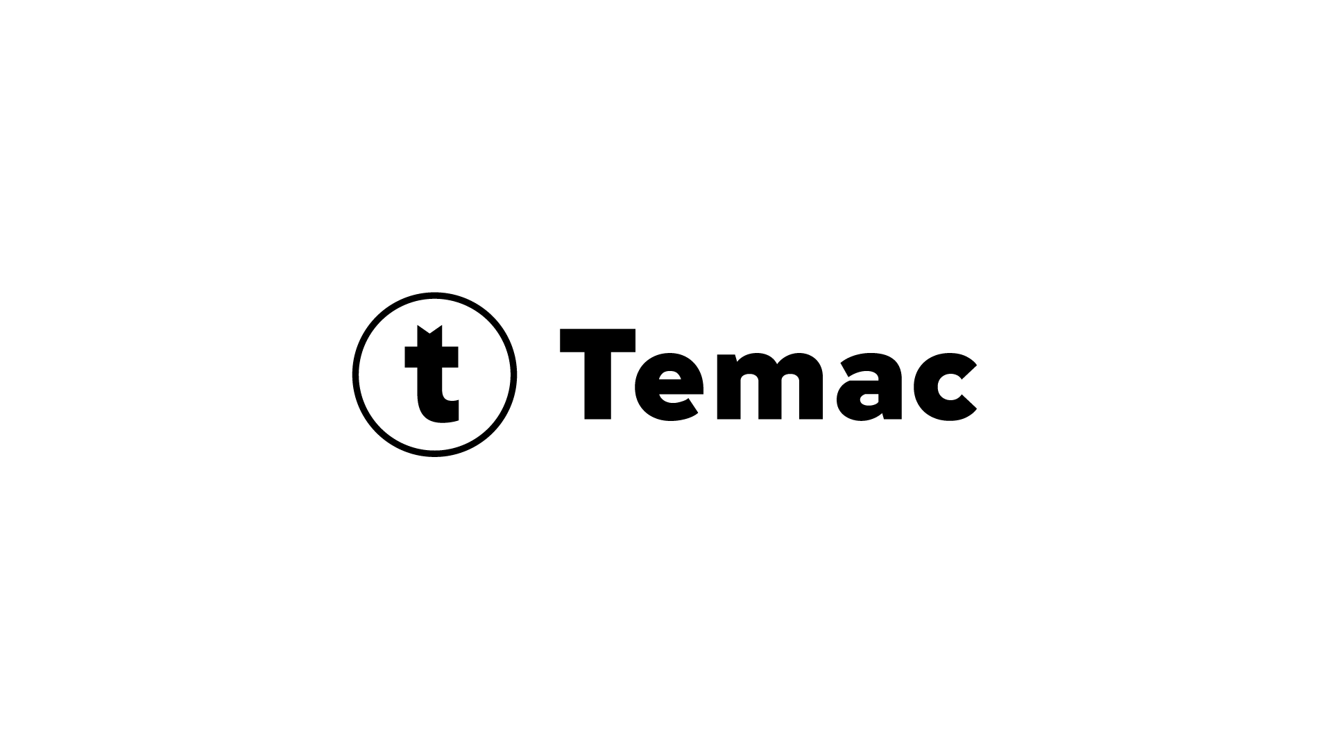 Temac. Брендинг промышленной группы — Изображение №2 — Брендинг, Графика на Dprofile
