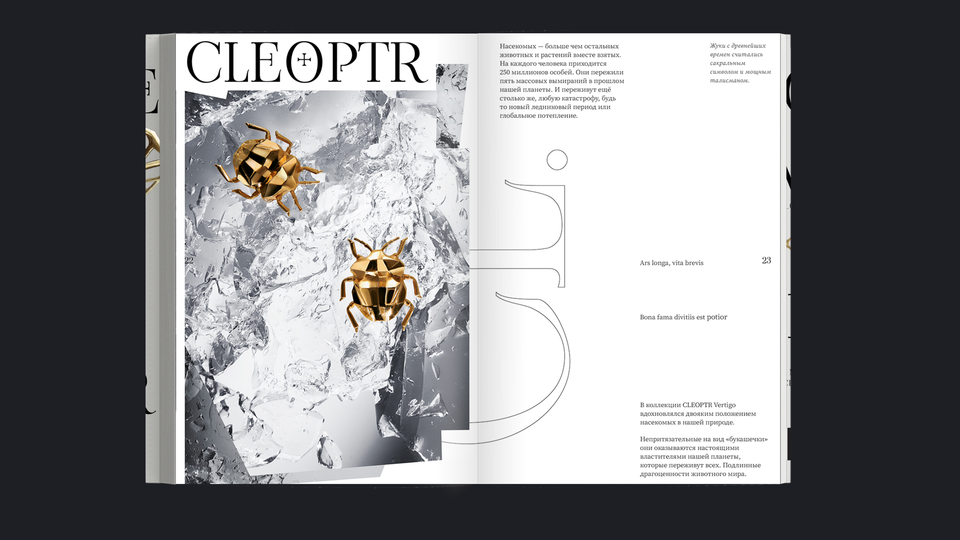 Vertigo Jewellery. Брендинг — Изображение №29 — Брендинг, Графика на Dprofile
