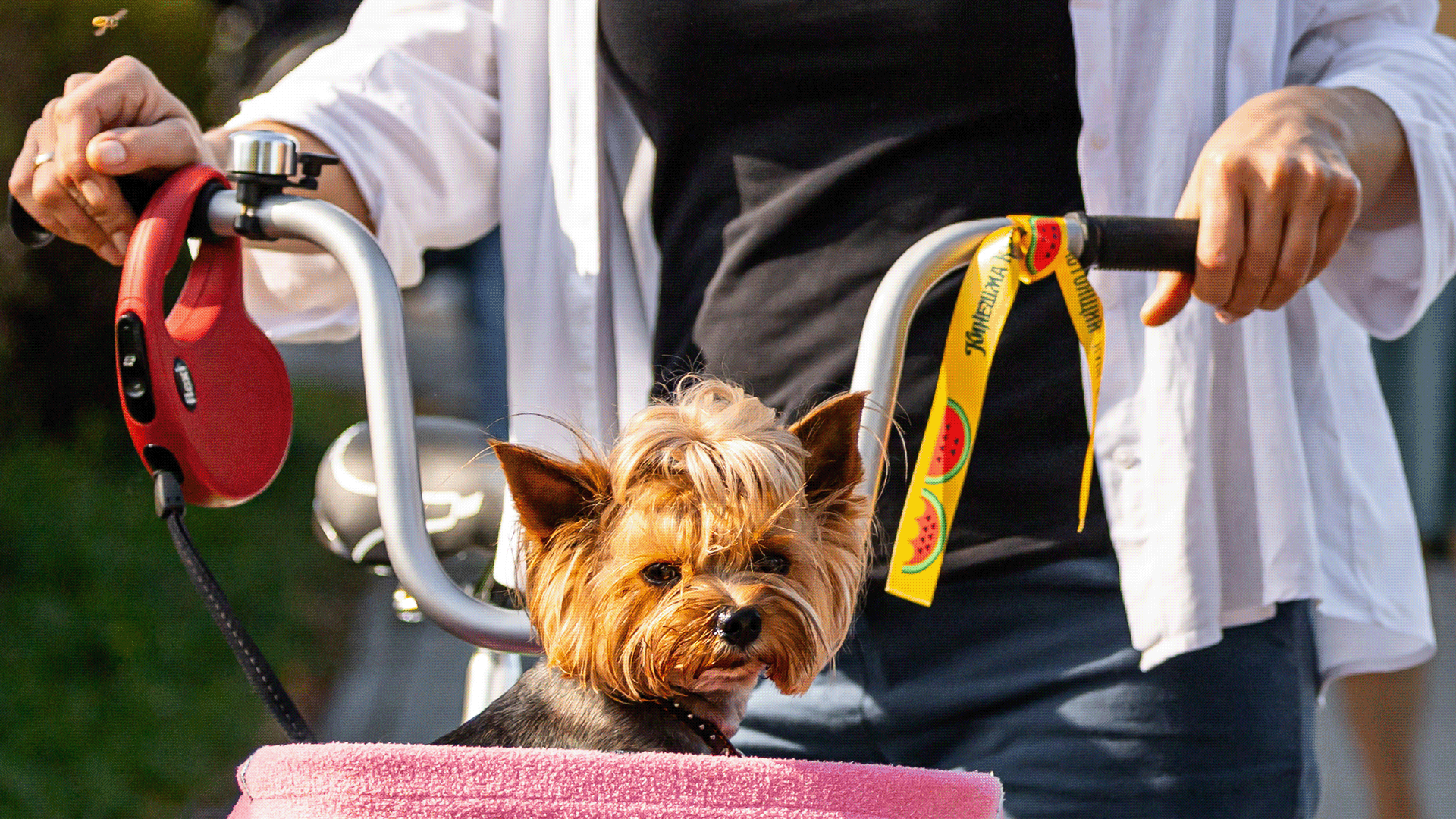 Кинешма купеческая. Брендинг фестиваля — Изображение №24 — Брендинг, Иллюстрация на Dprofile