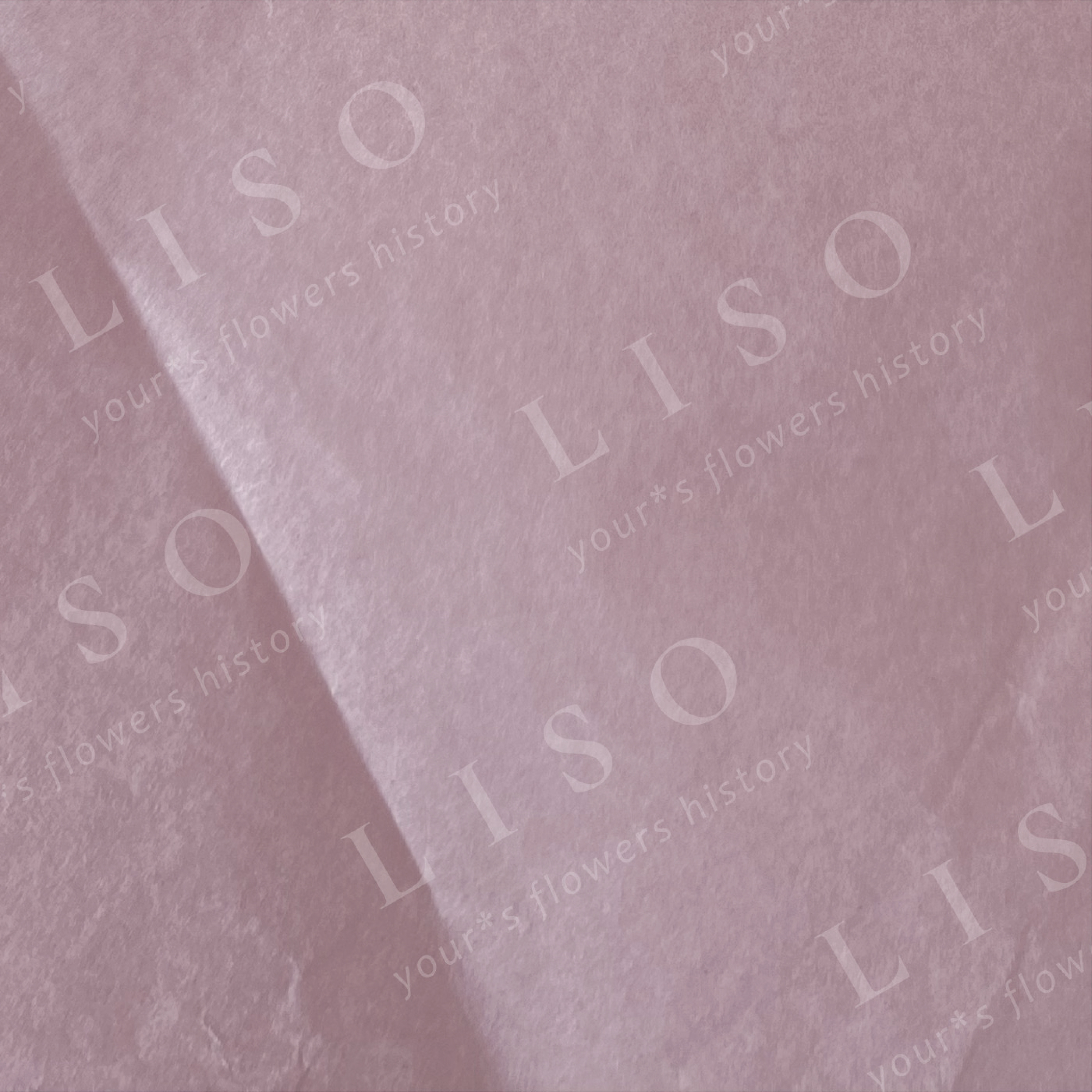 LISO  - студия цветов. Ребрендинг логотипа. — Изображение №6 — Интерфейсы на Dprofile