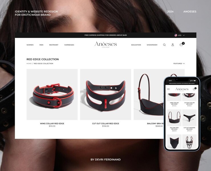 Anoeses | Brand identity & Website redesign на Dprofile