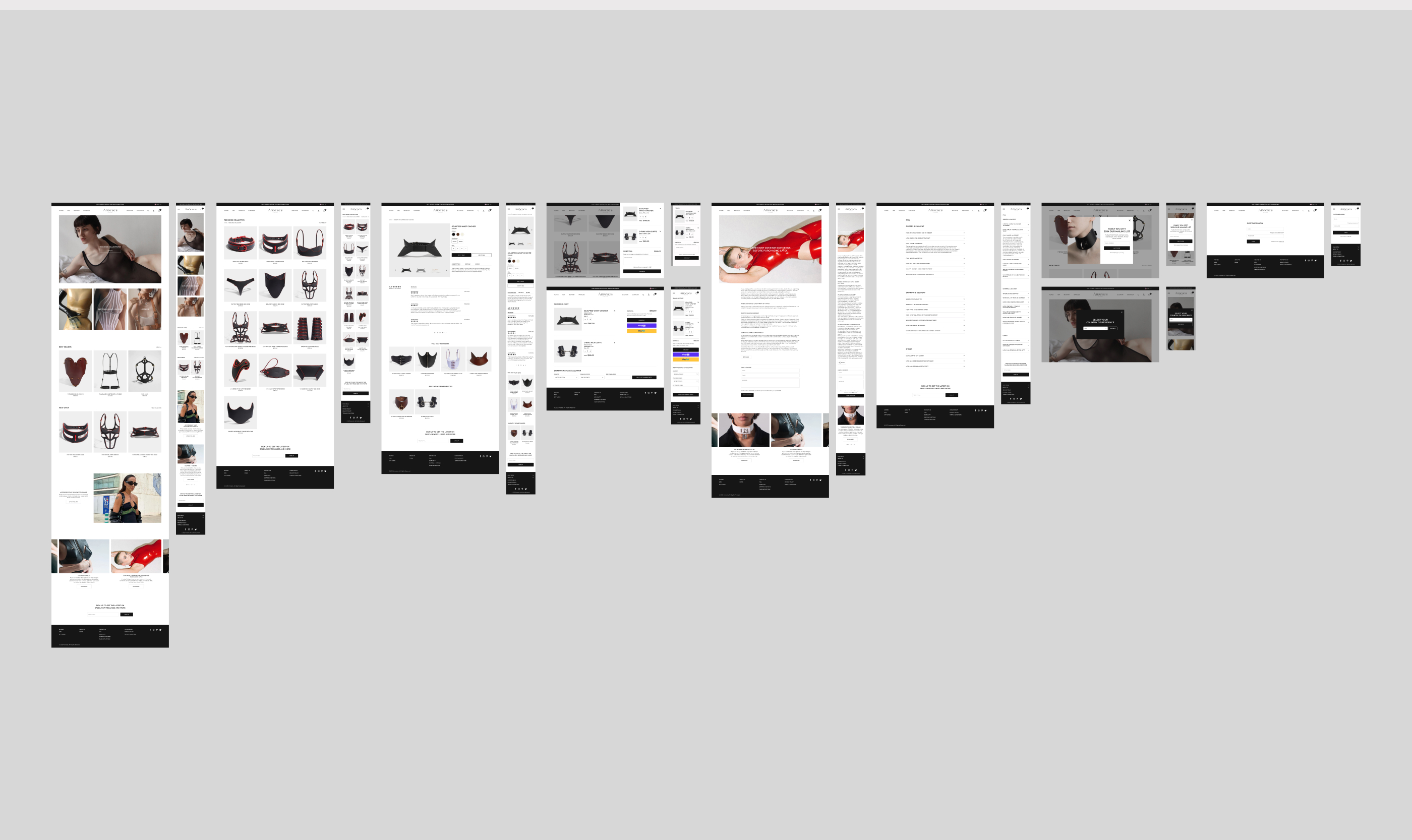 Anoeses | Brand identity & Website redesign — Изображение №18 — Интерфейсы, Брендинг на Dprofile