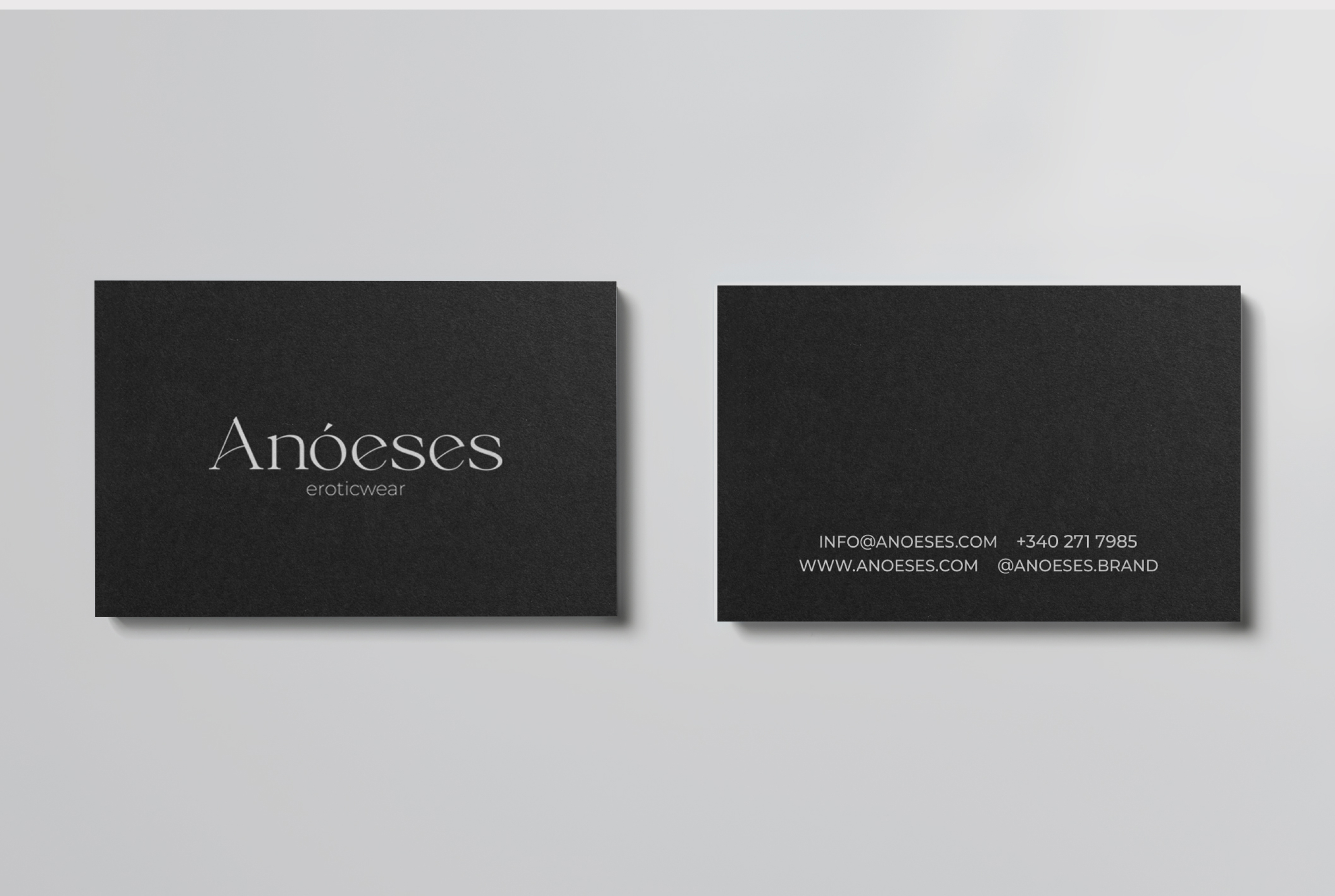 Anoeses | Brand identity & Website redesign — Изображение №3 — Интерфейсы, Брендинг на Dprofile