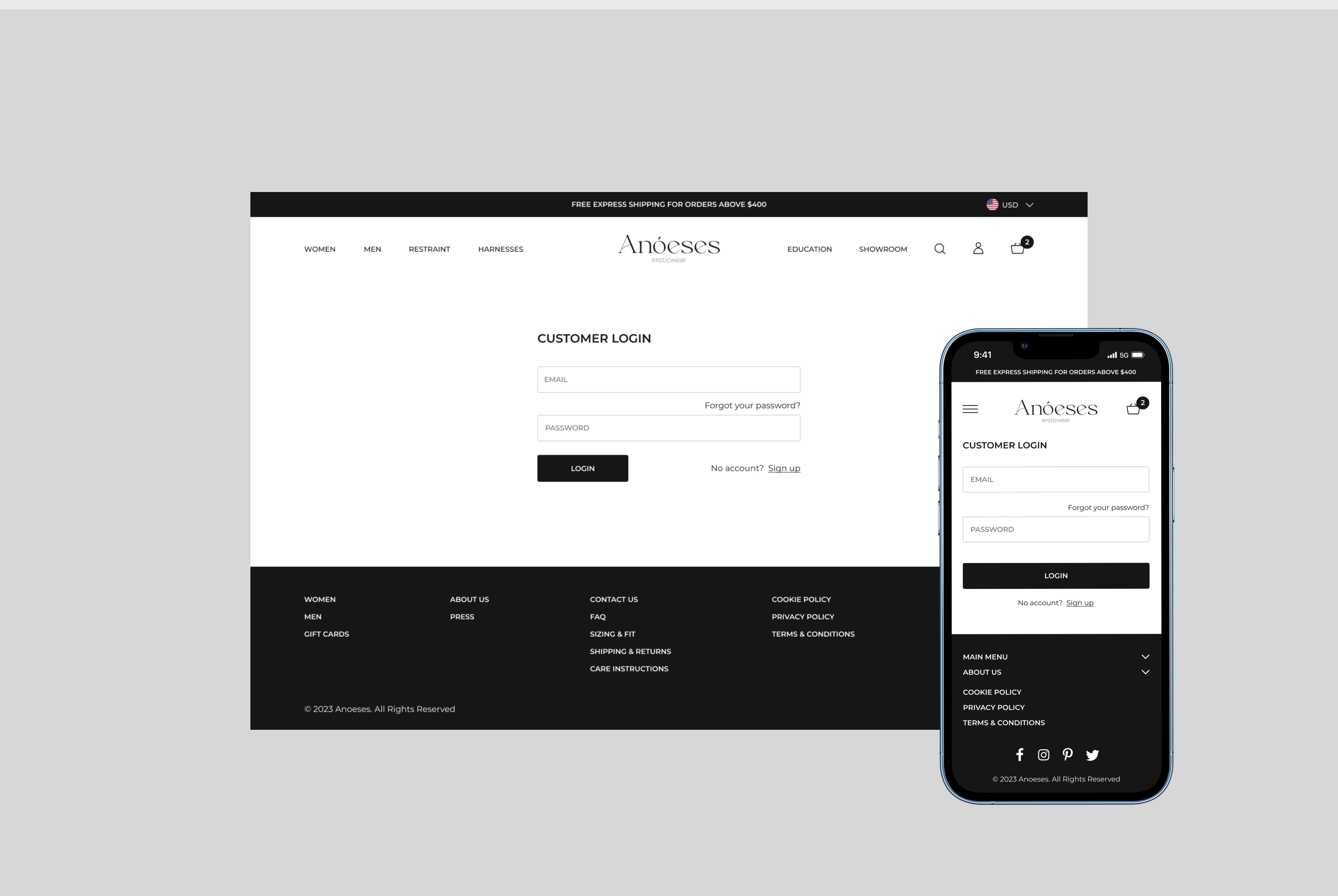 Anoeses | Brand identity & Website redesign — Изображение №17 — Интерфейсы, Брендинг на Dprofile
