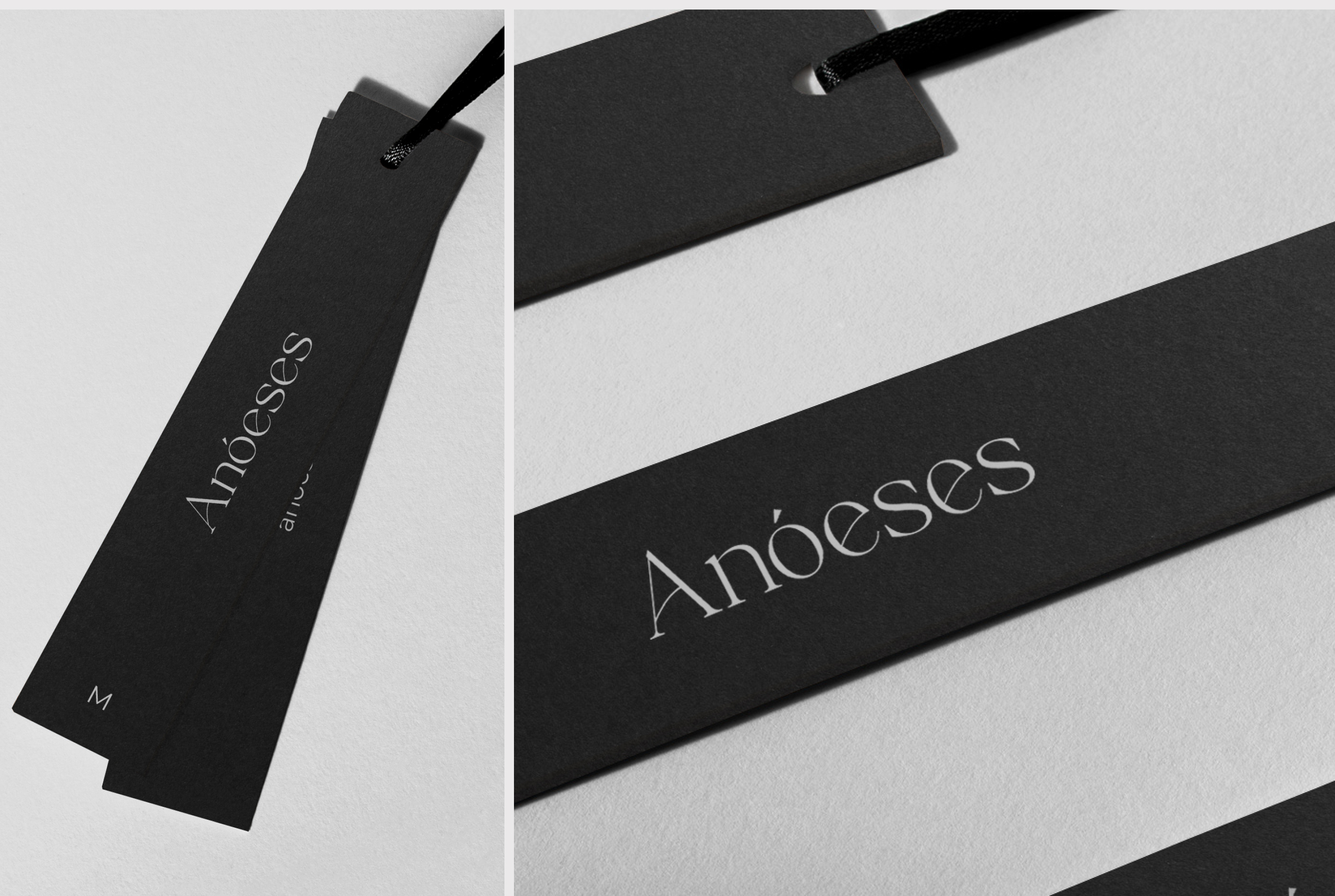 Anoeses | Brand identity & Website redesign — Изображение №2 — Интерфейсы, Брендинг на Dprofile