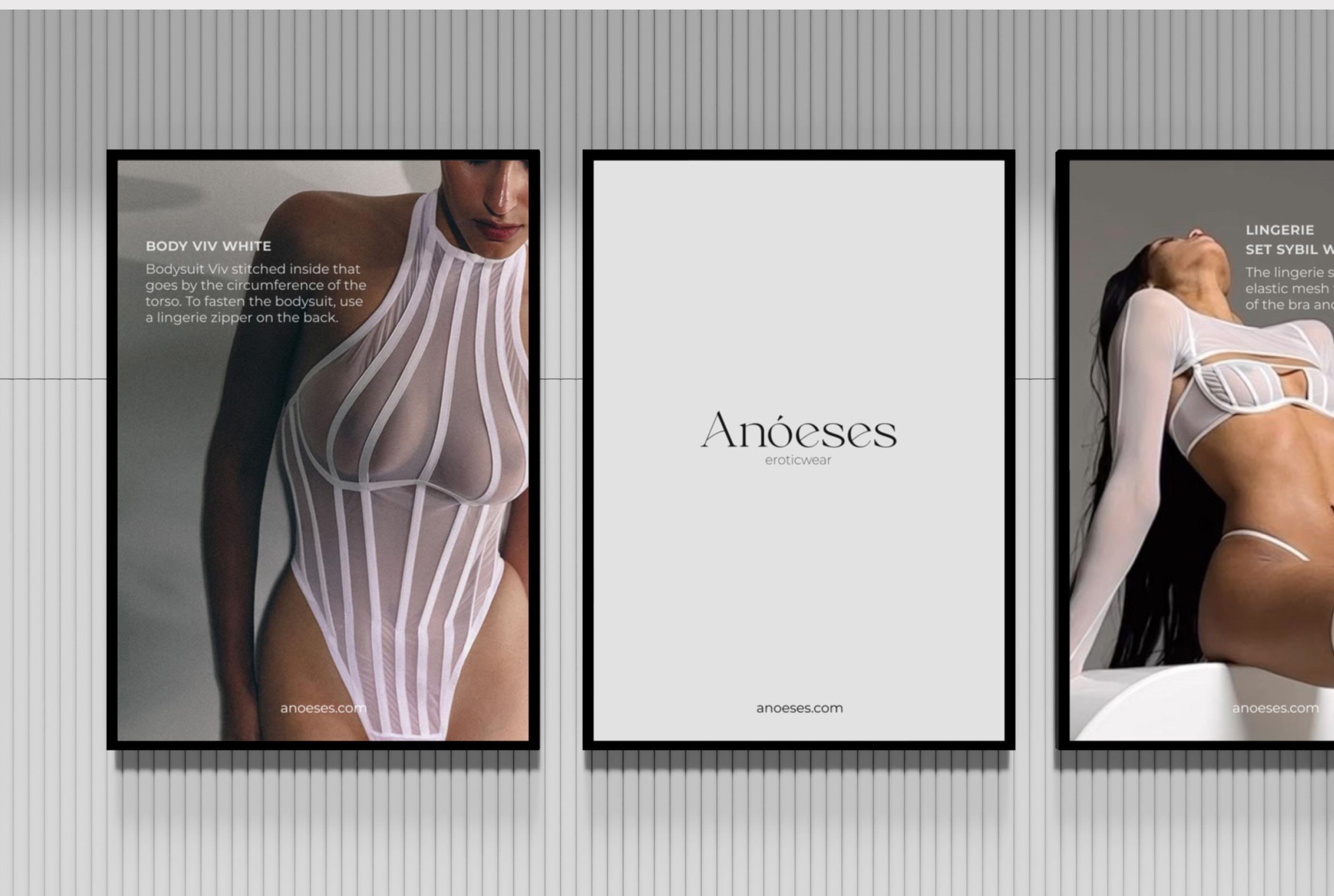 Anoeses | Brand identity & Website redesign — Изображение №8 — Интерфейсы, Брендинг на Dprofile