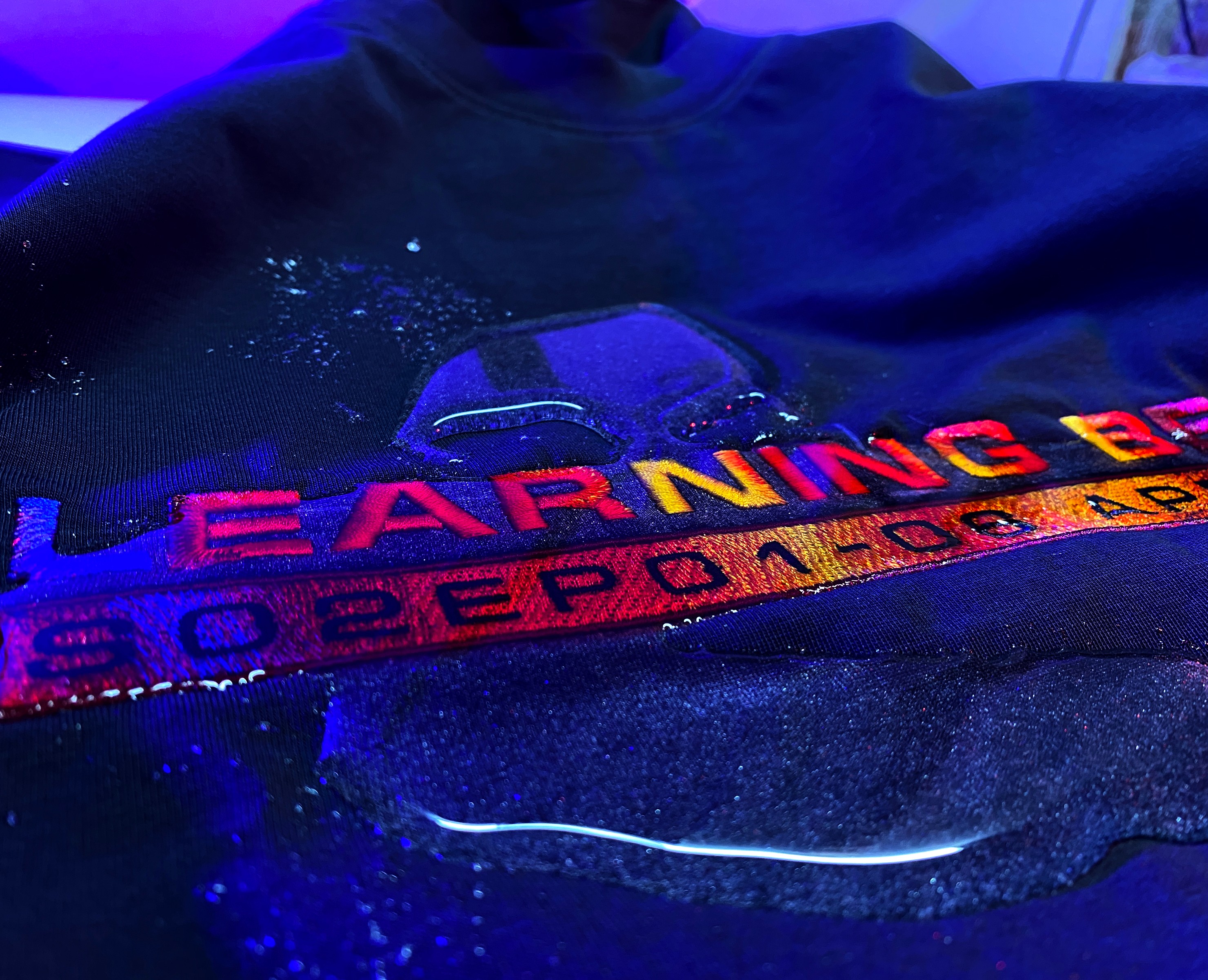 LEARNING BEAR 2025 — Брендинг, Анимация на Dprofile