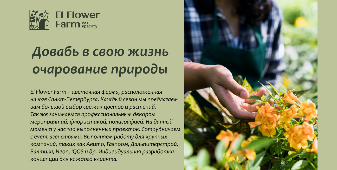 Баннеры для соц. сетей — Изображение №2 — Графика, Маркетинг на Dprofile