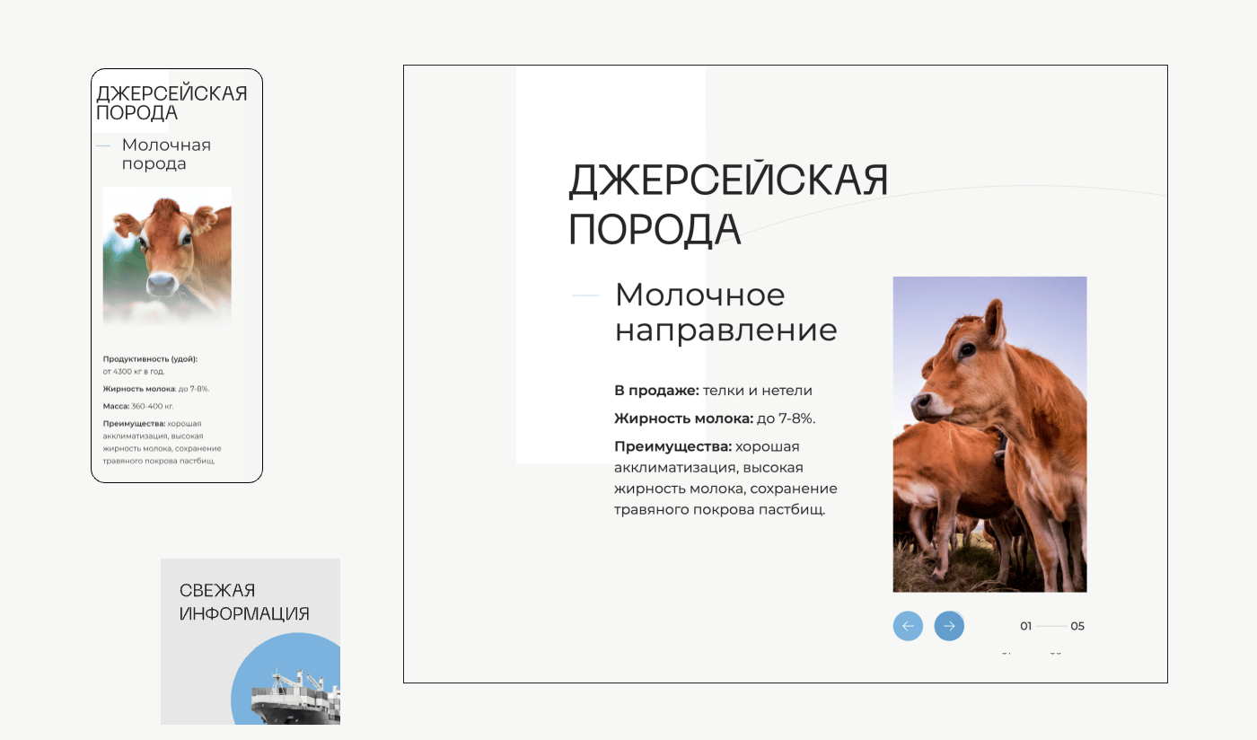 Лендинг Пейдж I Farm Industry I Website, Web Desigh, UI — Изображение №6 — Интерфейсы, Анимация на Dprofile