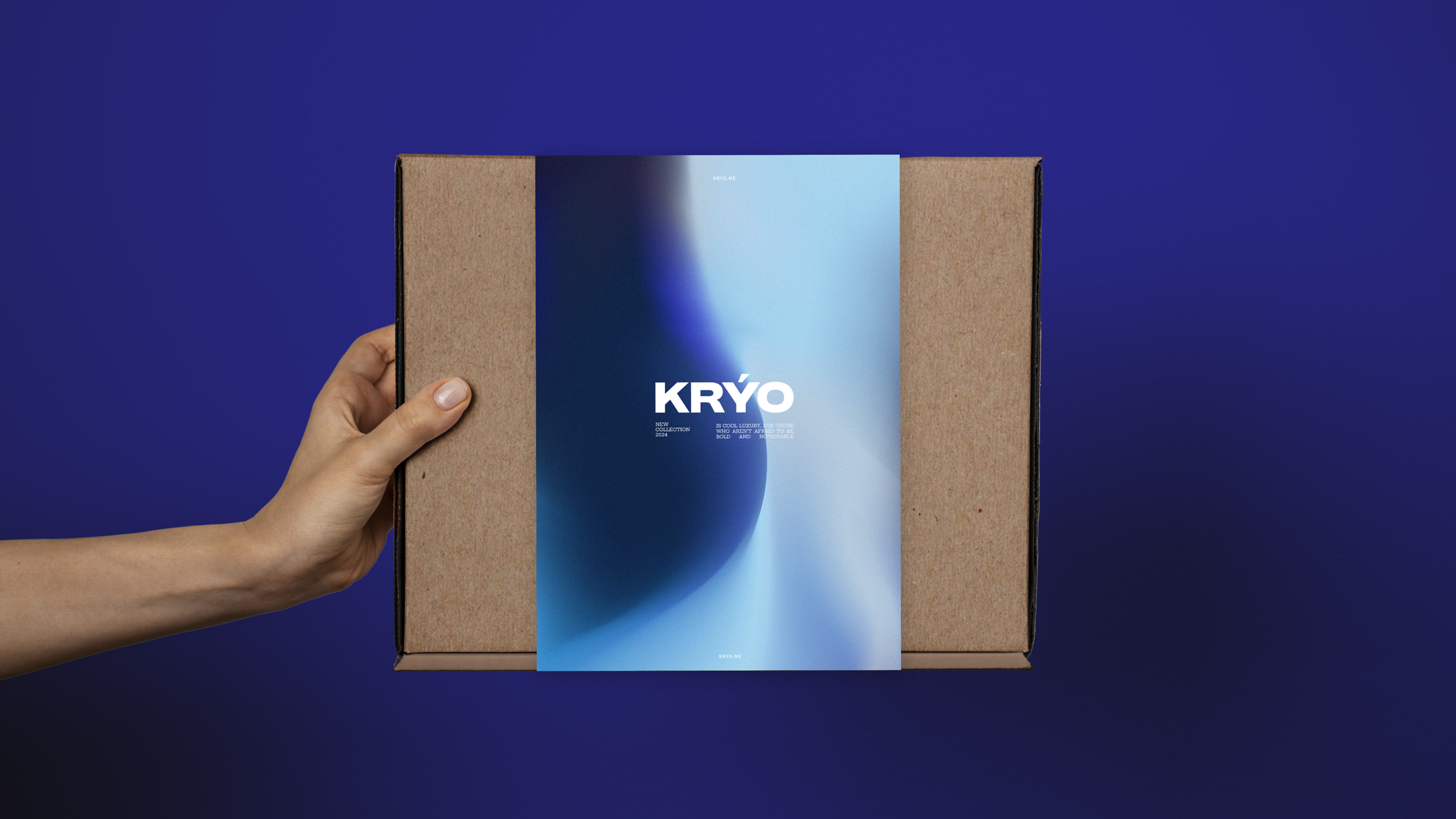 Kryo — Айдентика для бренда украшений — Изображение №15 — Брендинг, Графика на Dprofile