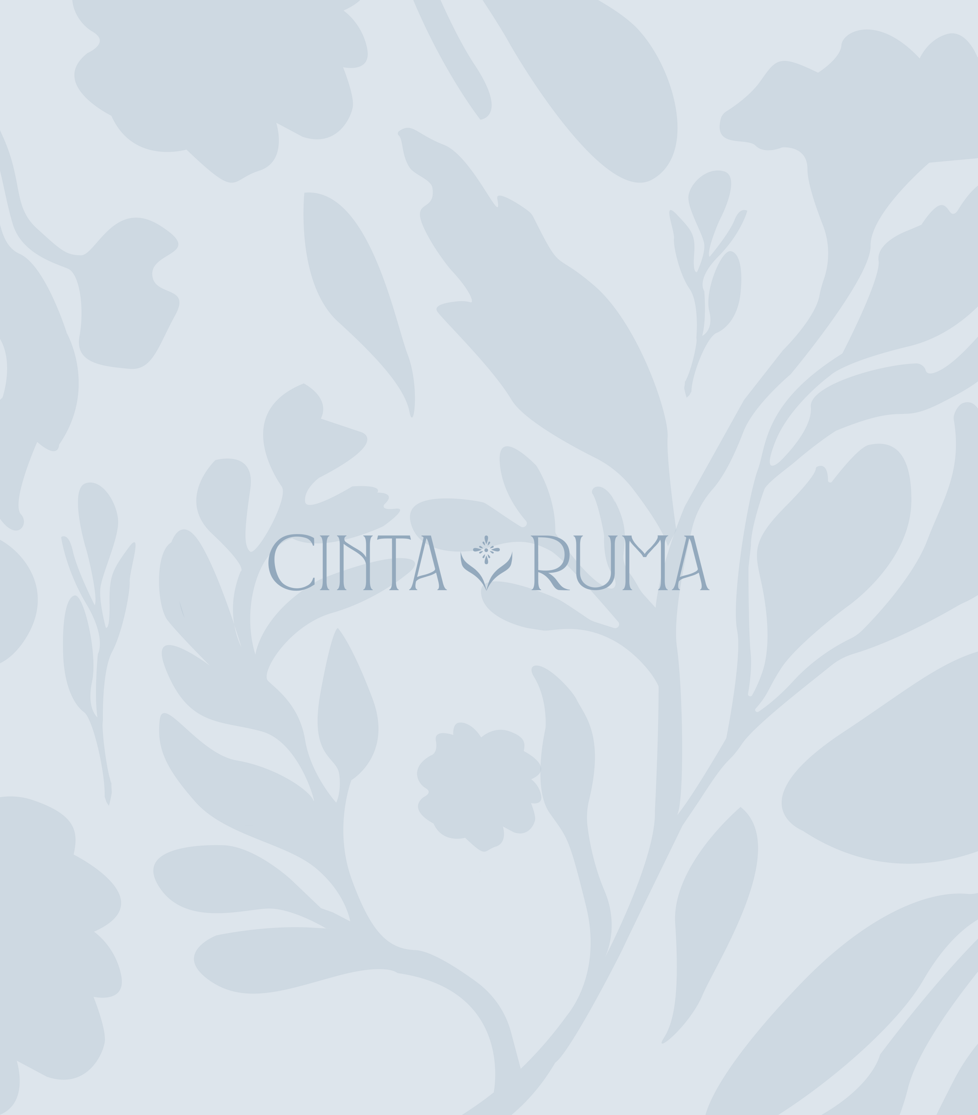 CINTA RUMA — Identity for clothes brand | Одежда — Изображение №2 — Брендинг на Dprofile