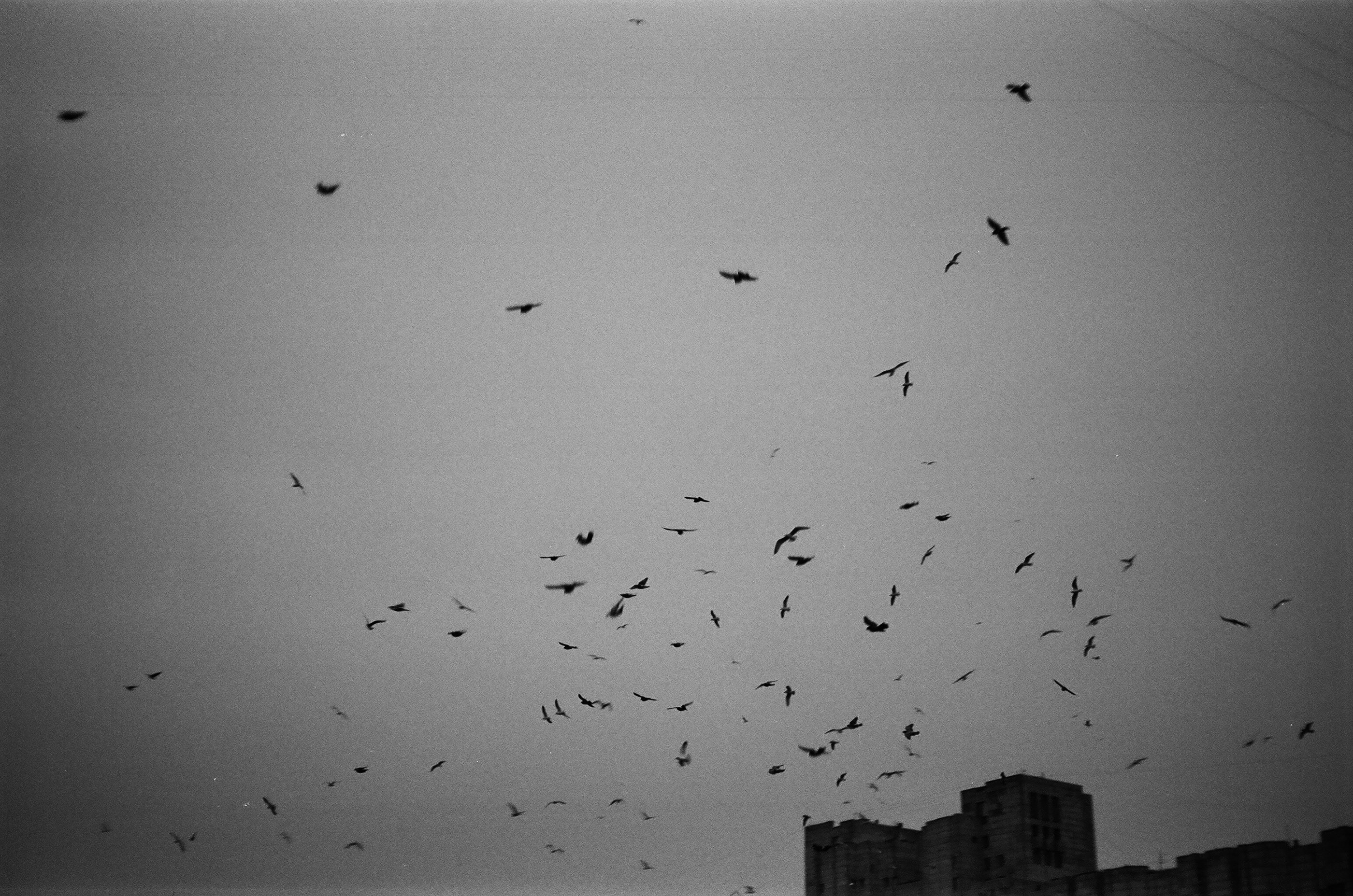 Непокой — Изображение №7 — Брендинг, Графика на Dprofile