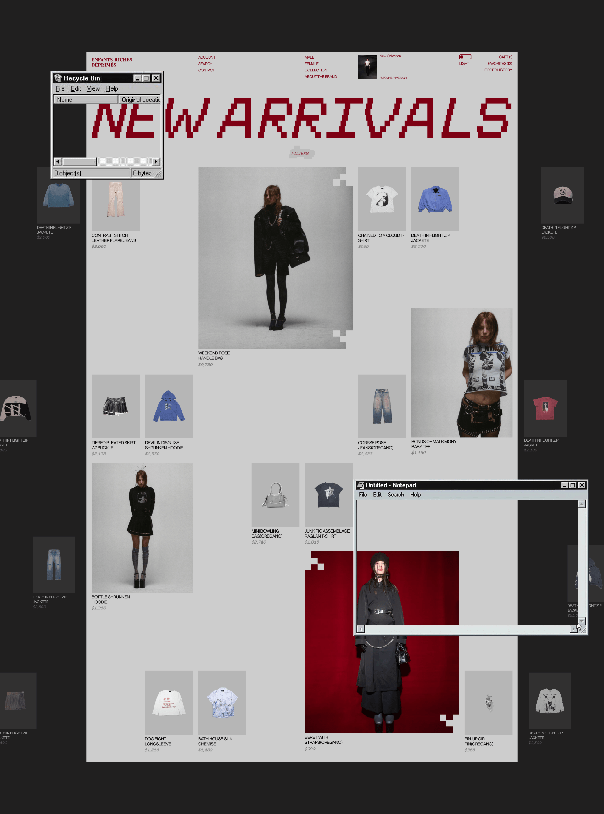 ENFANTS RICHES DÉPRIMÉS | E-commerce — Изображение №6 — Интерфейсы, Анимация на Dprofile