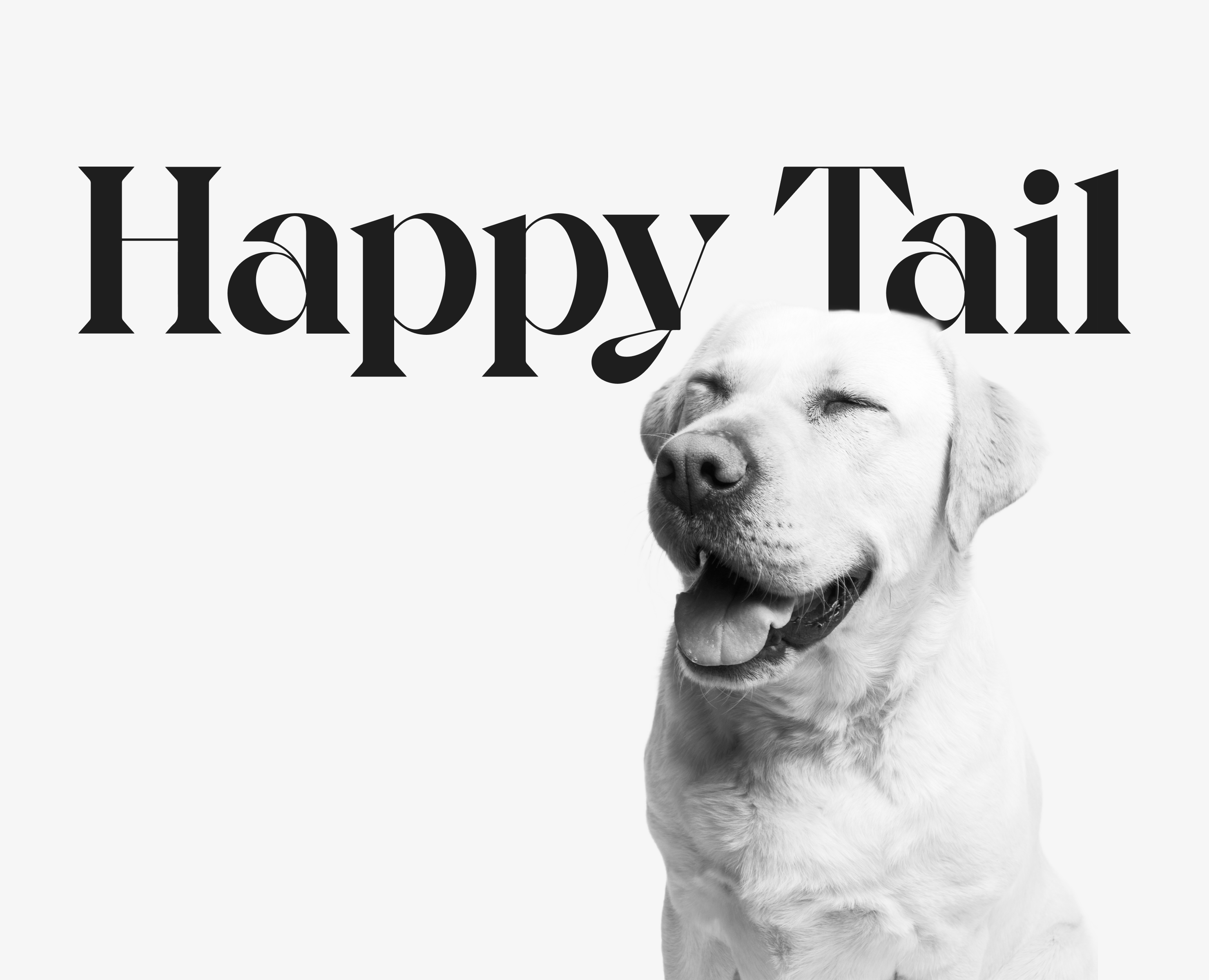HAPPY TAIL — Интерфейсы на Dprofile