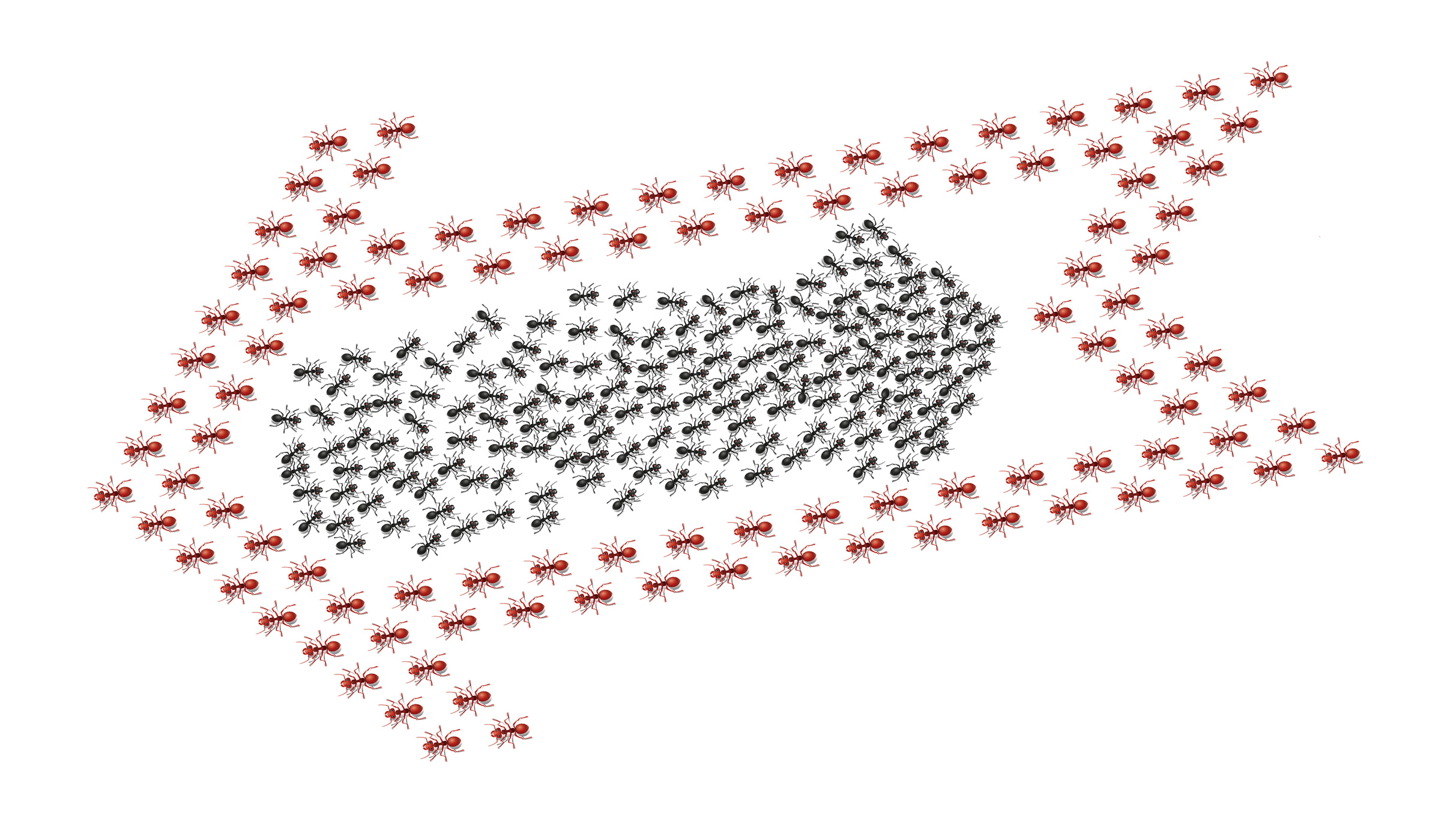 Сказка о муравье–богатыре — Изображение №22 — Иллюстрация на Dprofile