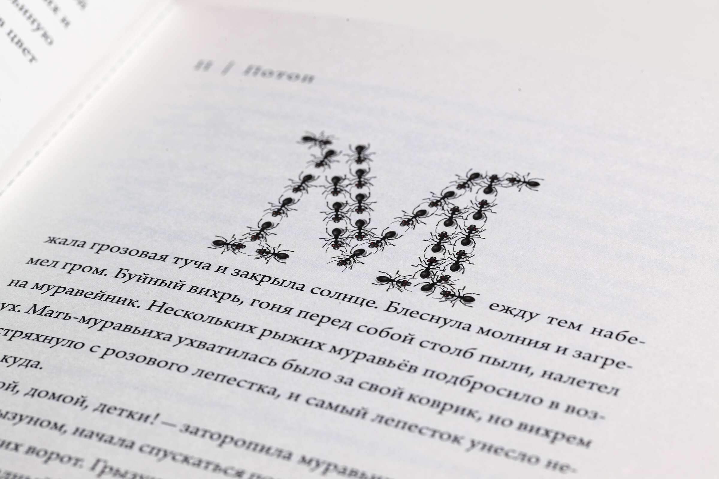 Сказка о муравье–богатыре — Изображение №10 — Иллюстрация на Dprofile