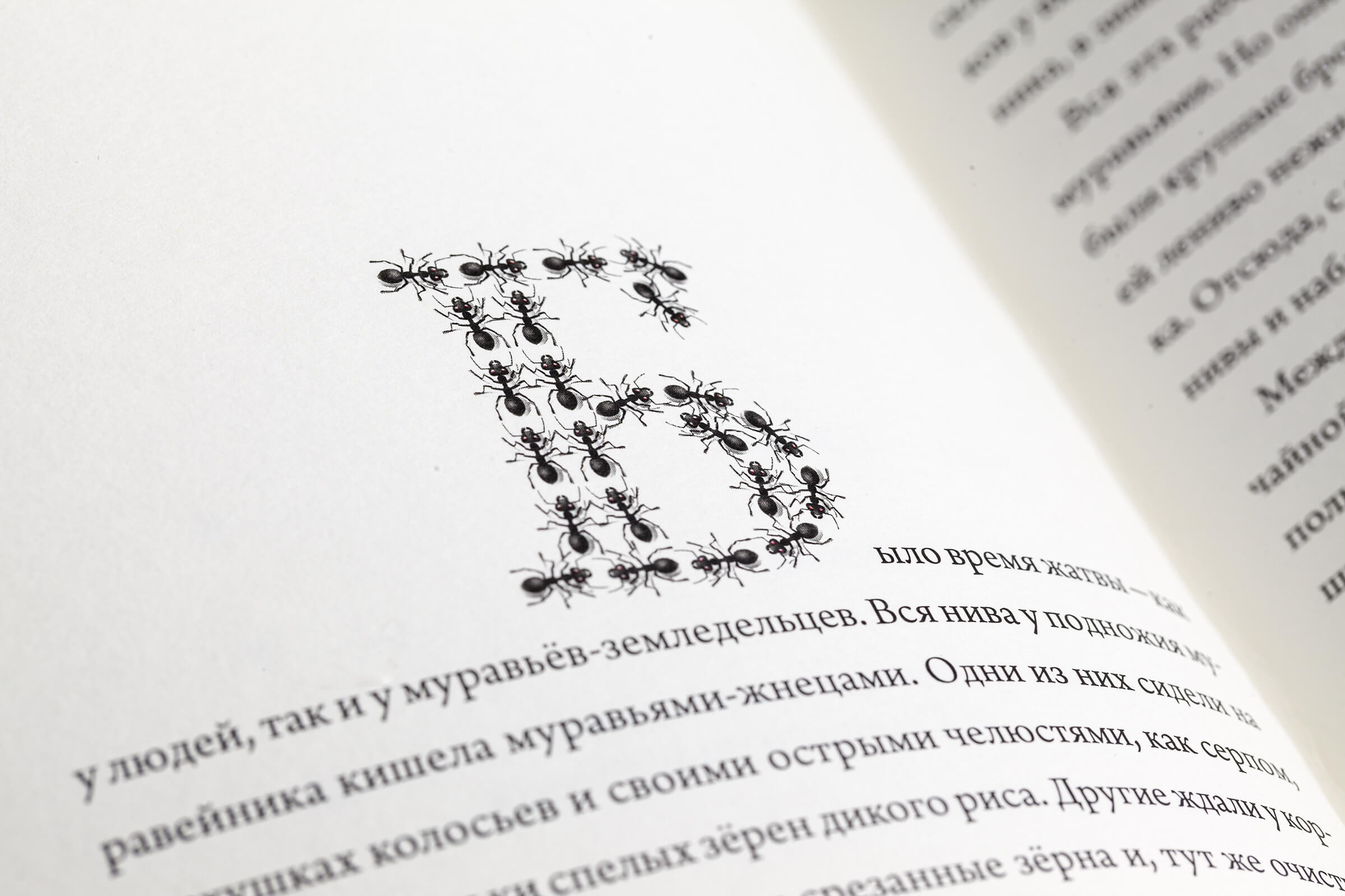 Сказка о муравье–богатыре — Изображение №5 — Иллюстрация на Dprofile