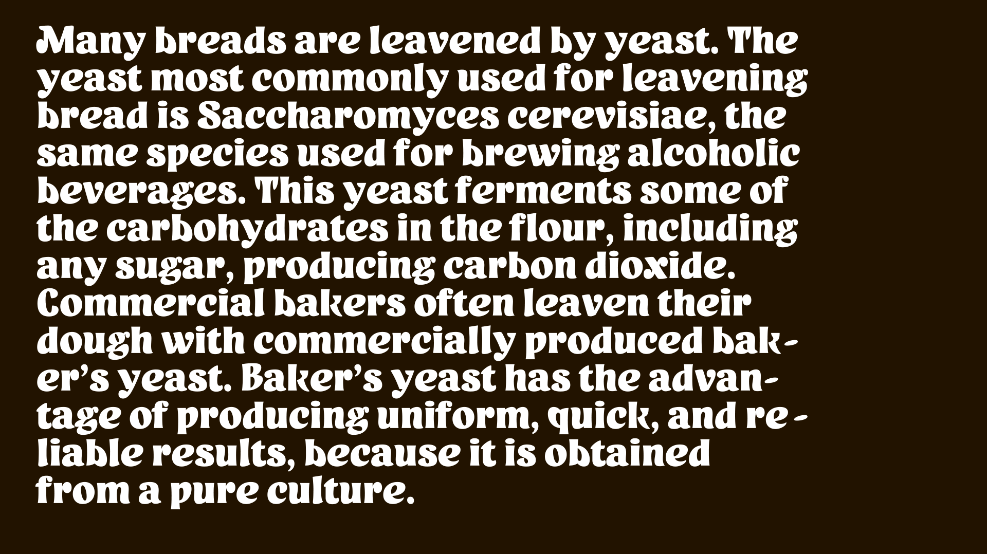 Yeast typeface ver. 0.3 — Изображение №3 — Брендинг, Графика на Dprofile